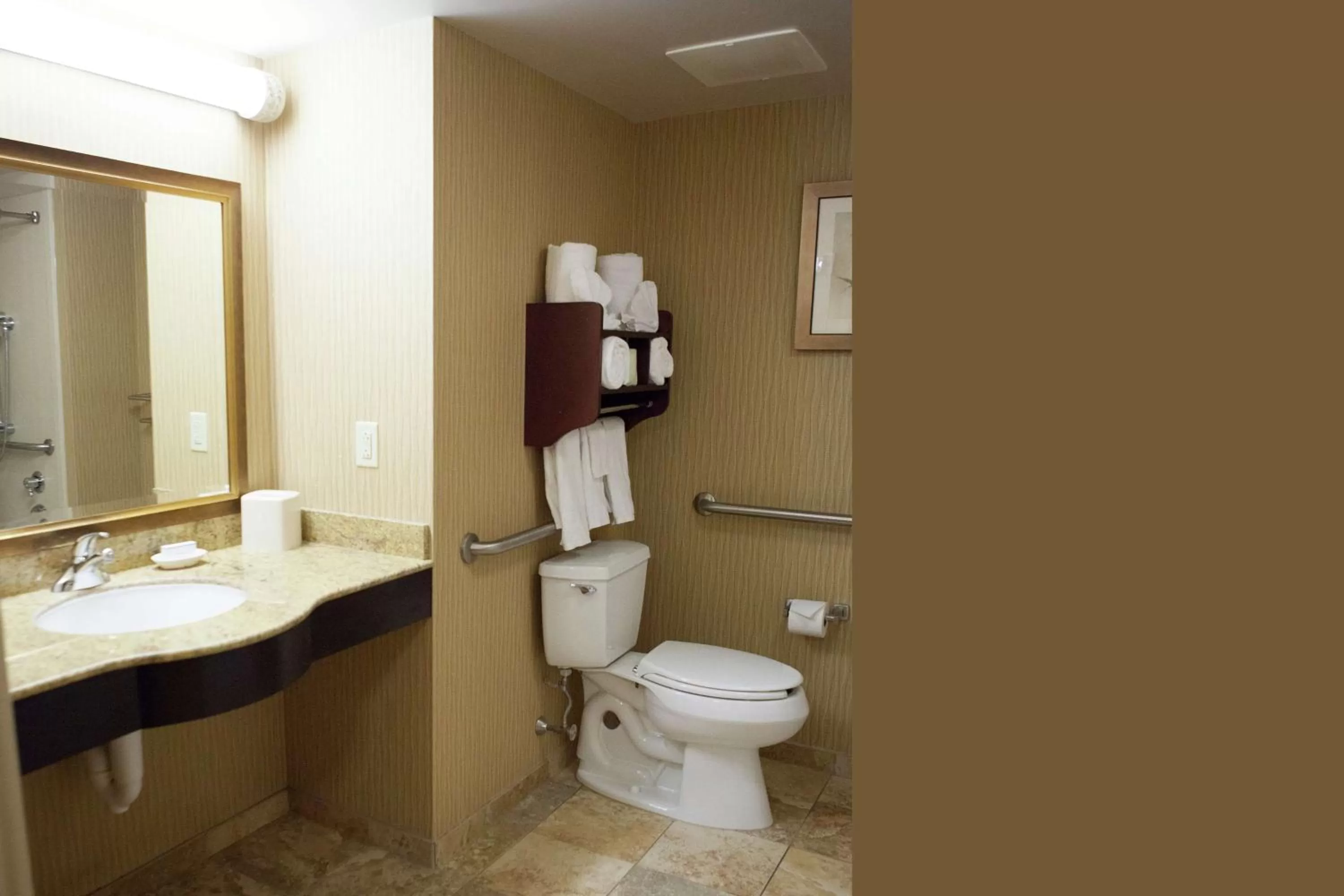 Bathroom in Hampton Inn Rochester-Webster