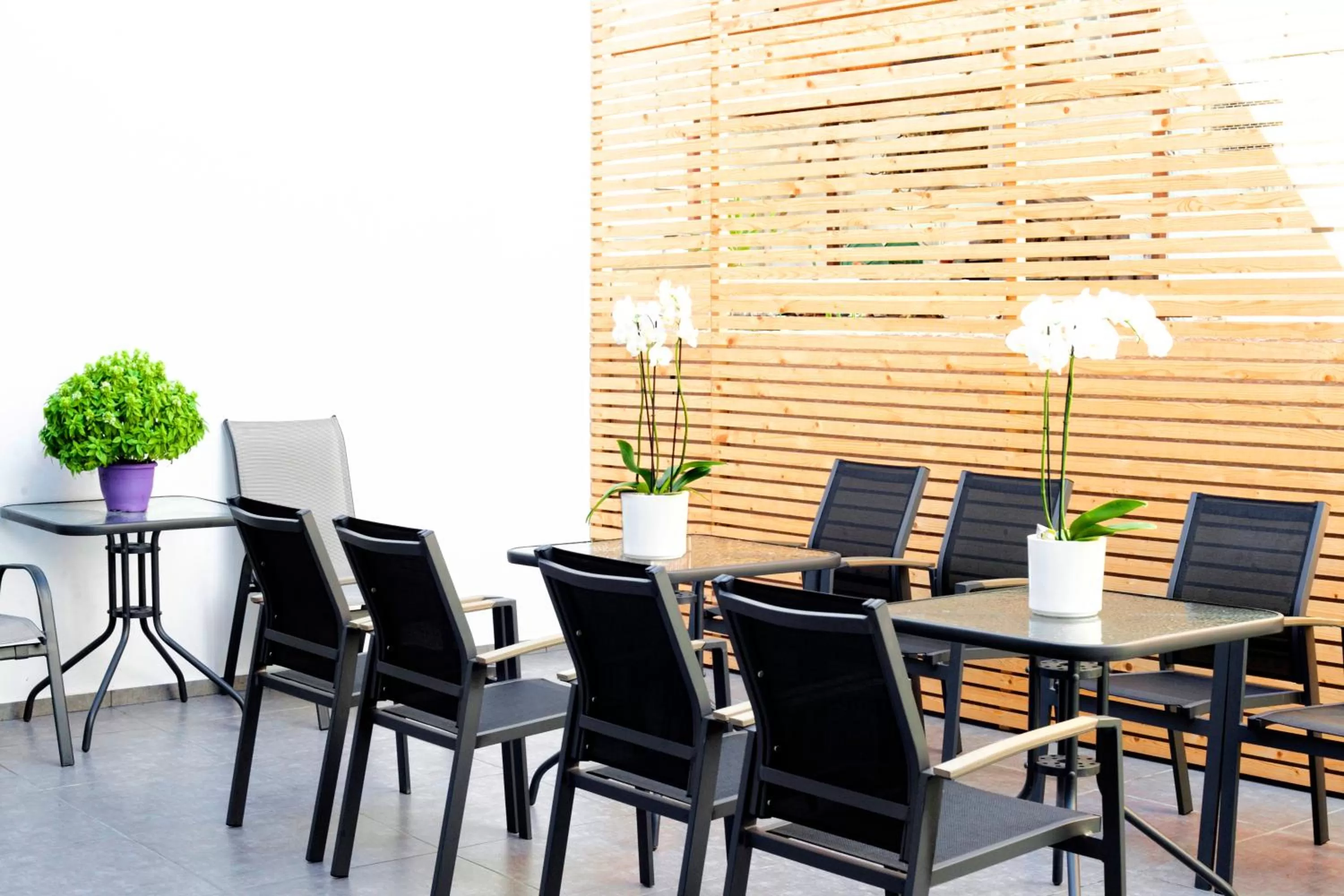 Lobby or reception, Dining Area in Atlas Skiathos