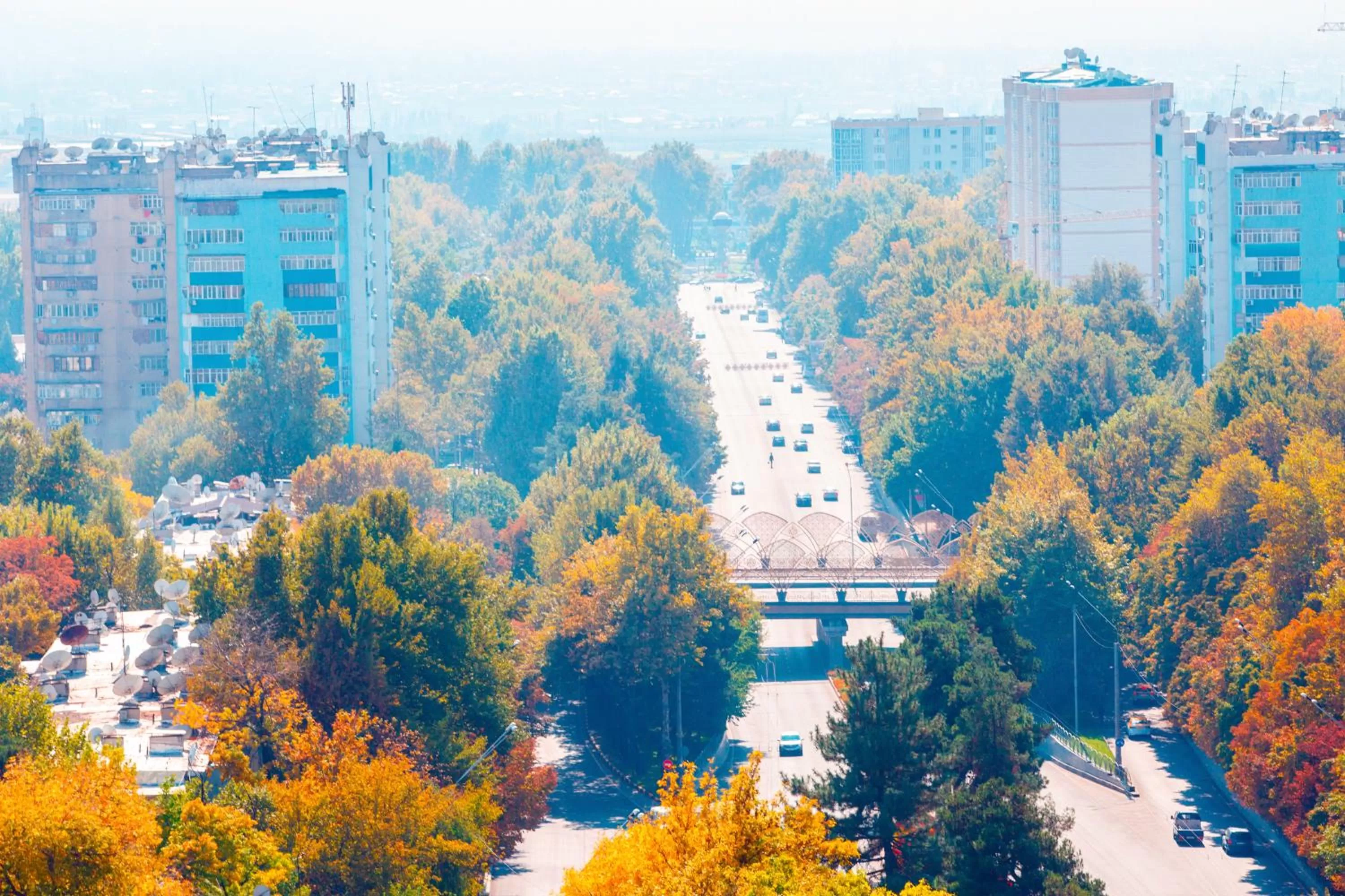 Bird's eye view in HOTEL AYNI