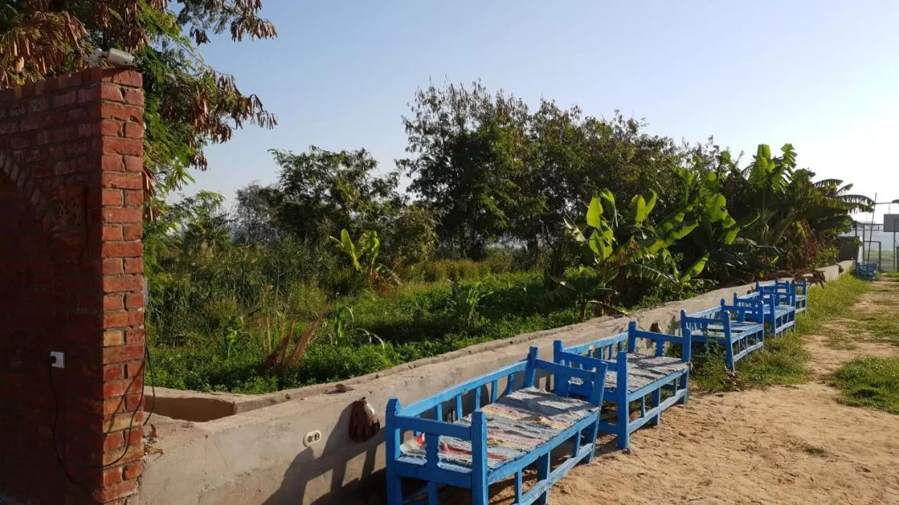 Natural landscape in Al Baeirat Hotel