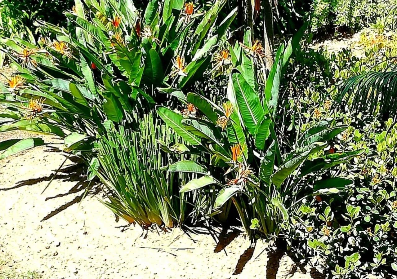 De Wingerd Wijnland Lodge