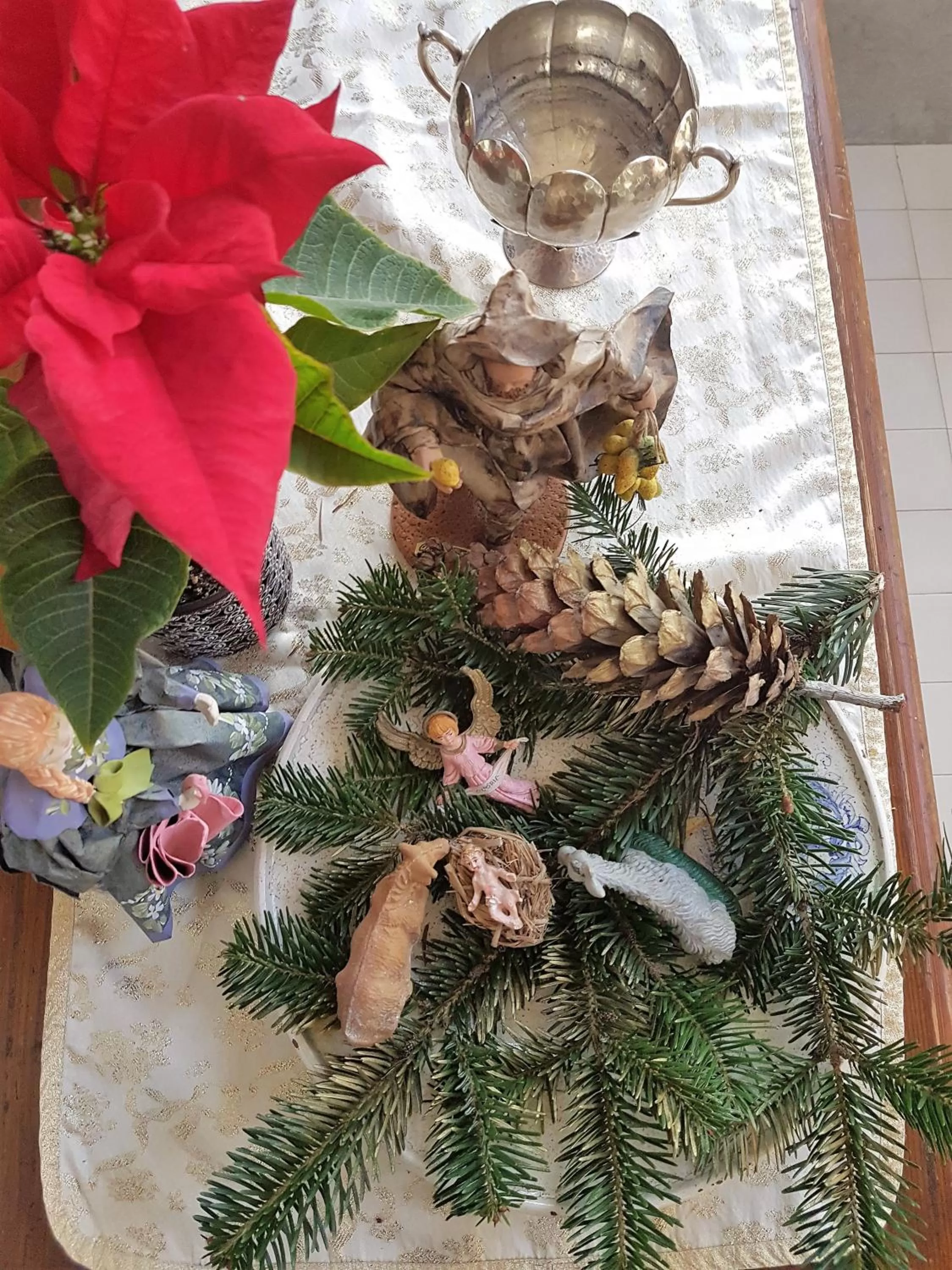 Activities in Al Villino del Sole