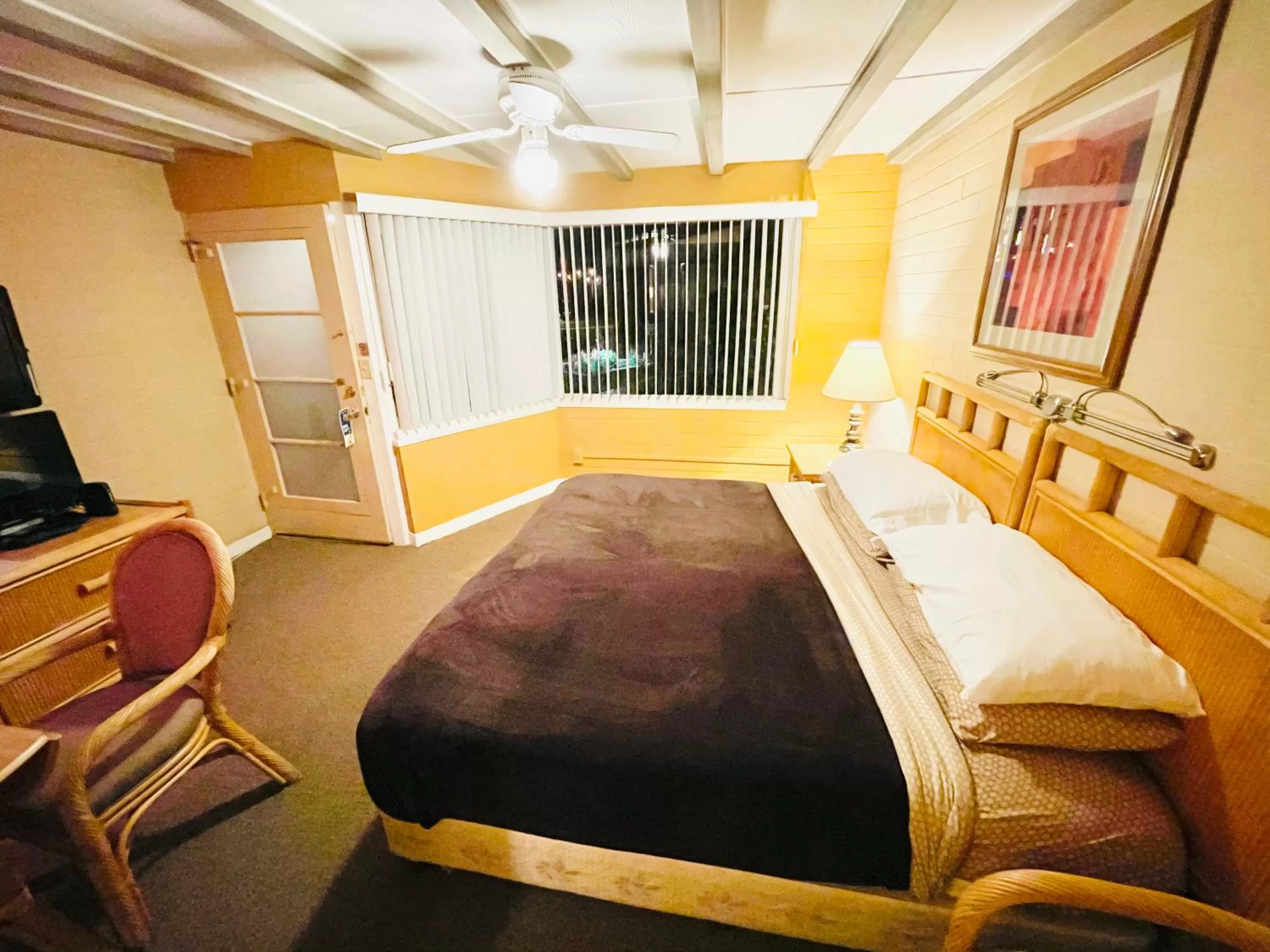 Photo of the whole room, Bed in A PLACE IN THE SUN Hotel - ADULTS ONLY Big Units, 24h Heated Pool & Spa in 1 Acre Park Prime Location, DOG Friendly, TOP Midcentury Modern Boutique Hotel