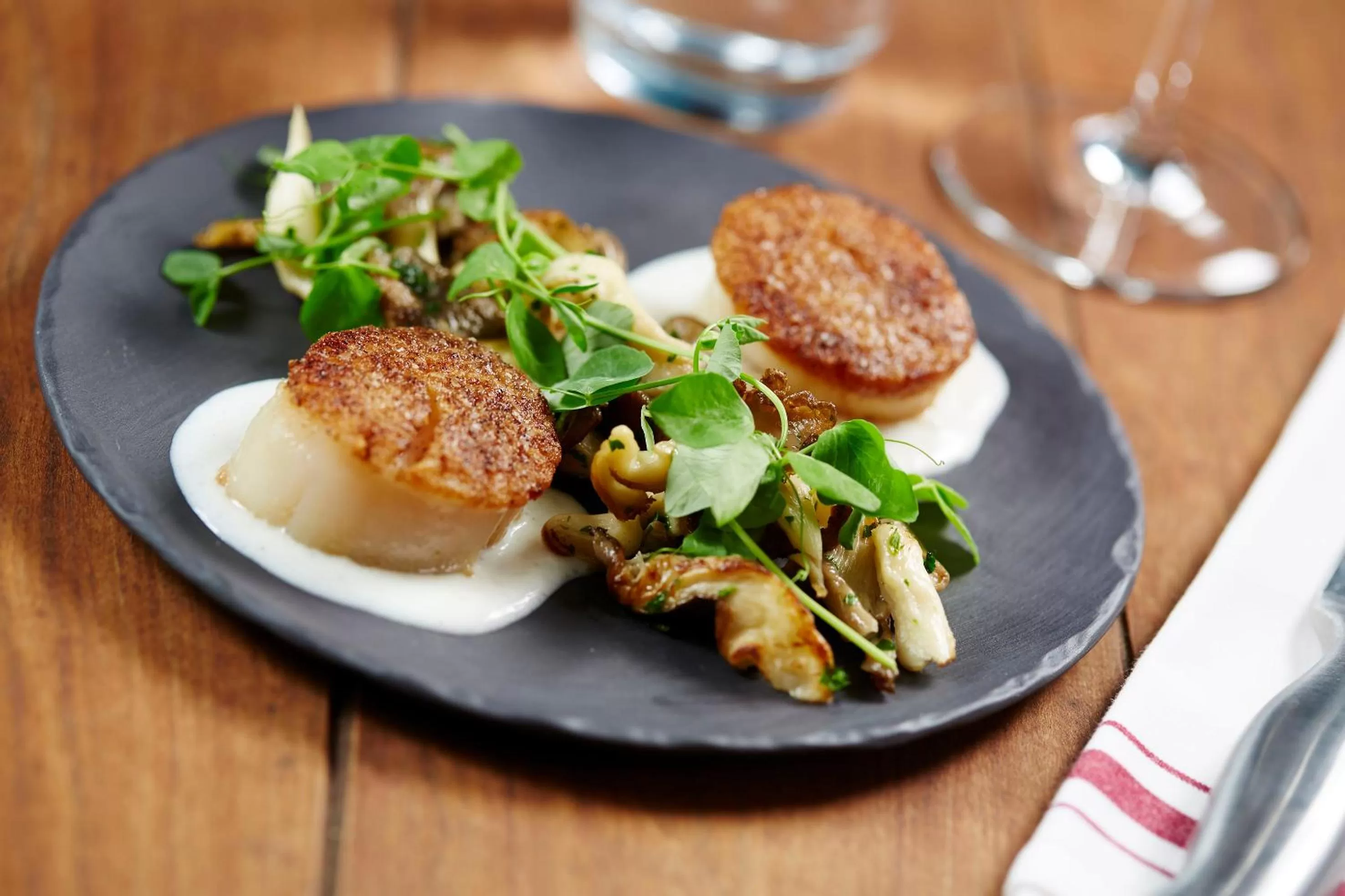 Restaurant/places to eat in Meliá Orlando Celebration