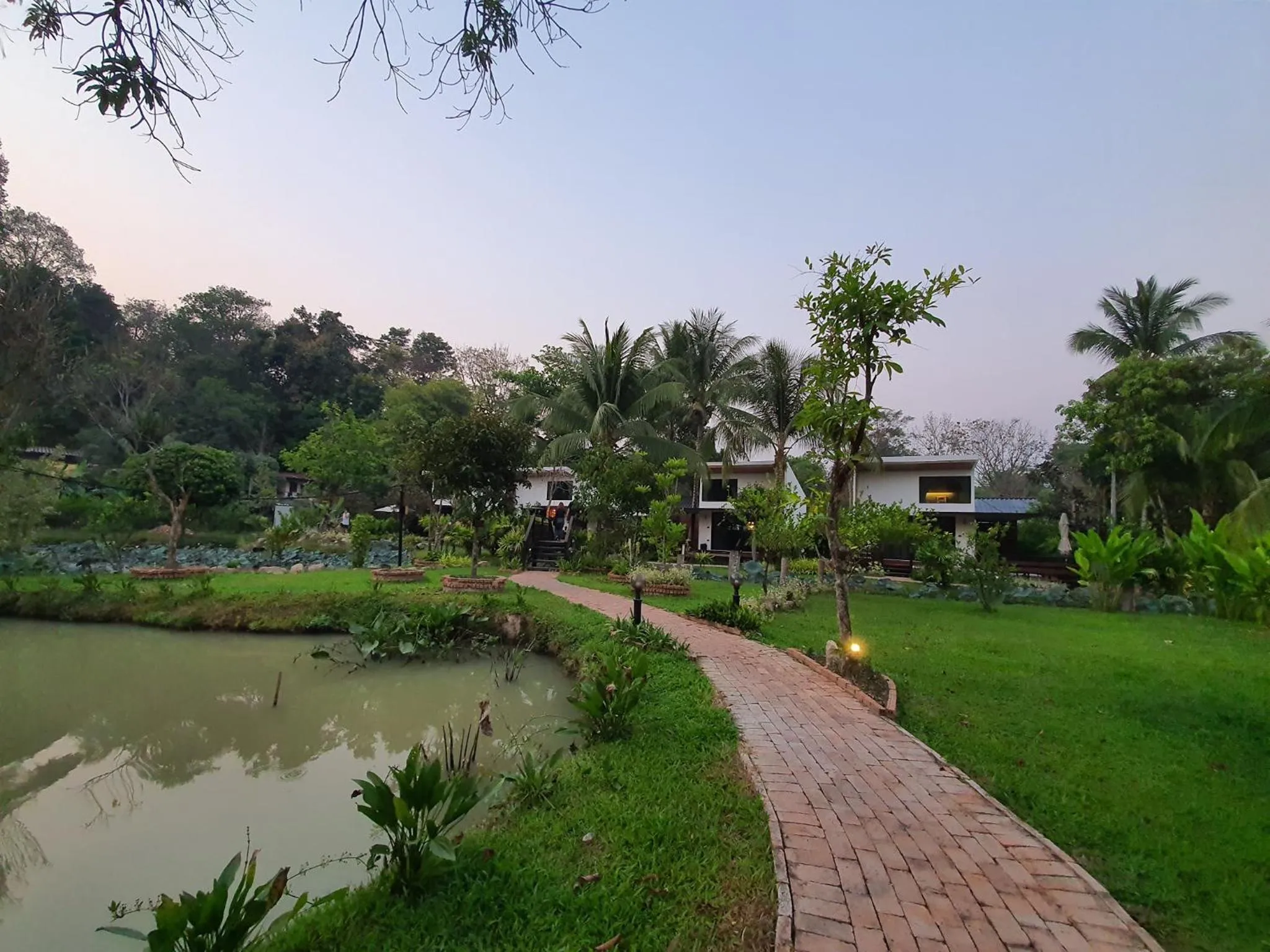 Garden in Villa Panalai