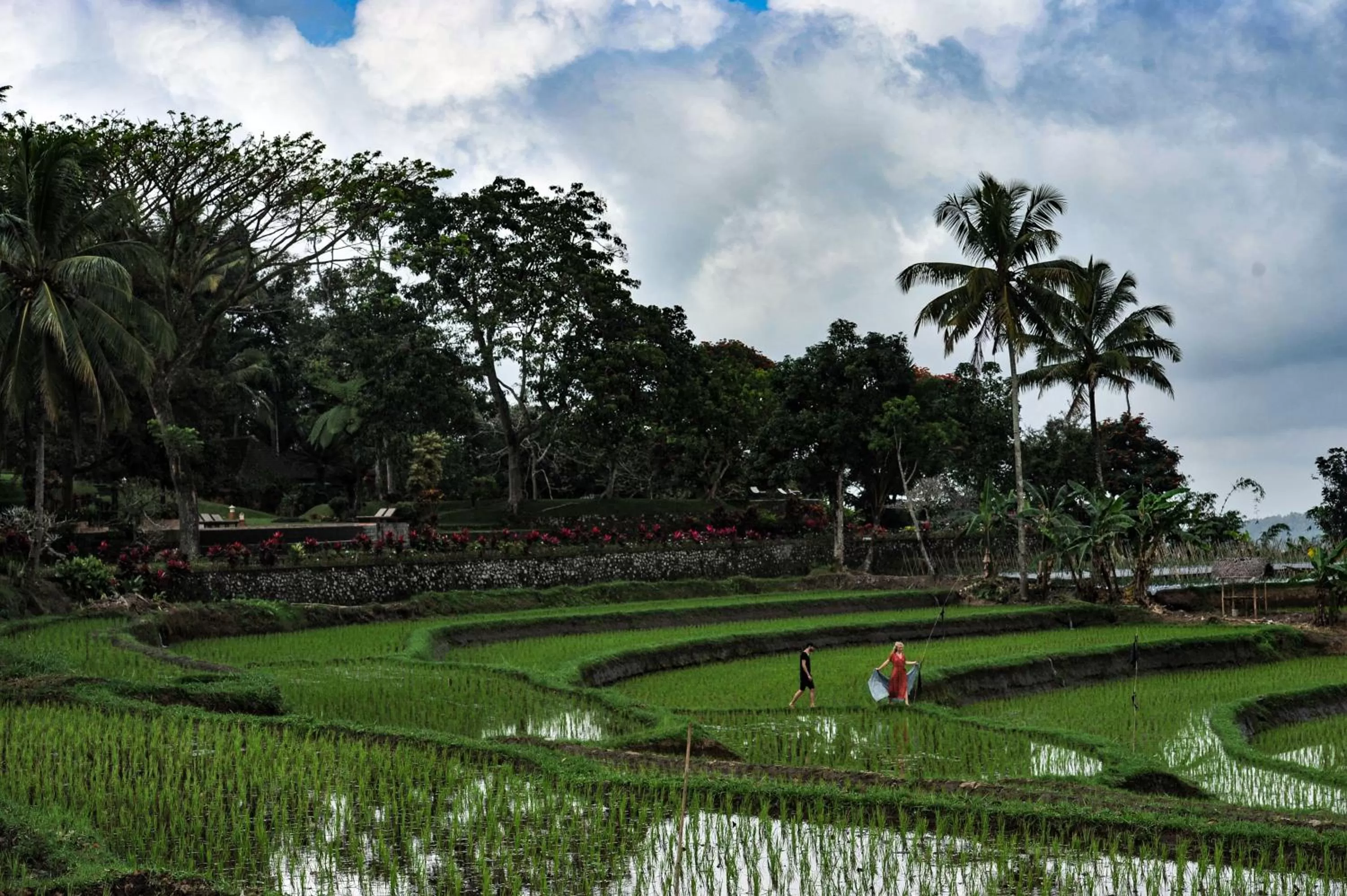 View (from property/room) in Ijen Resort and Villas - The Hidden Paradise