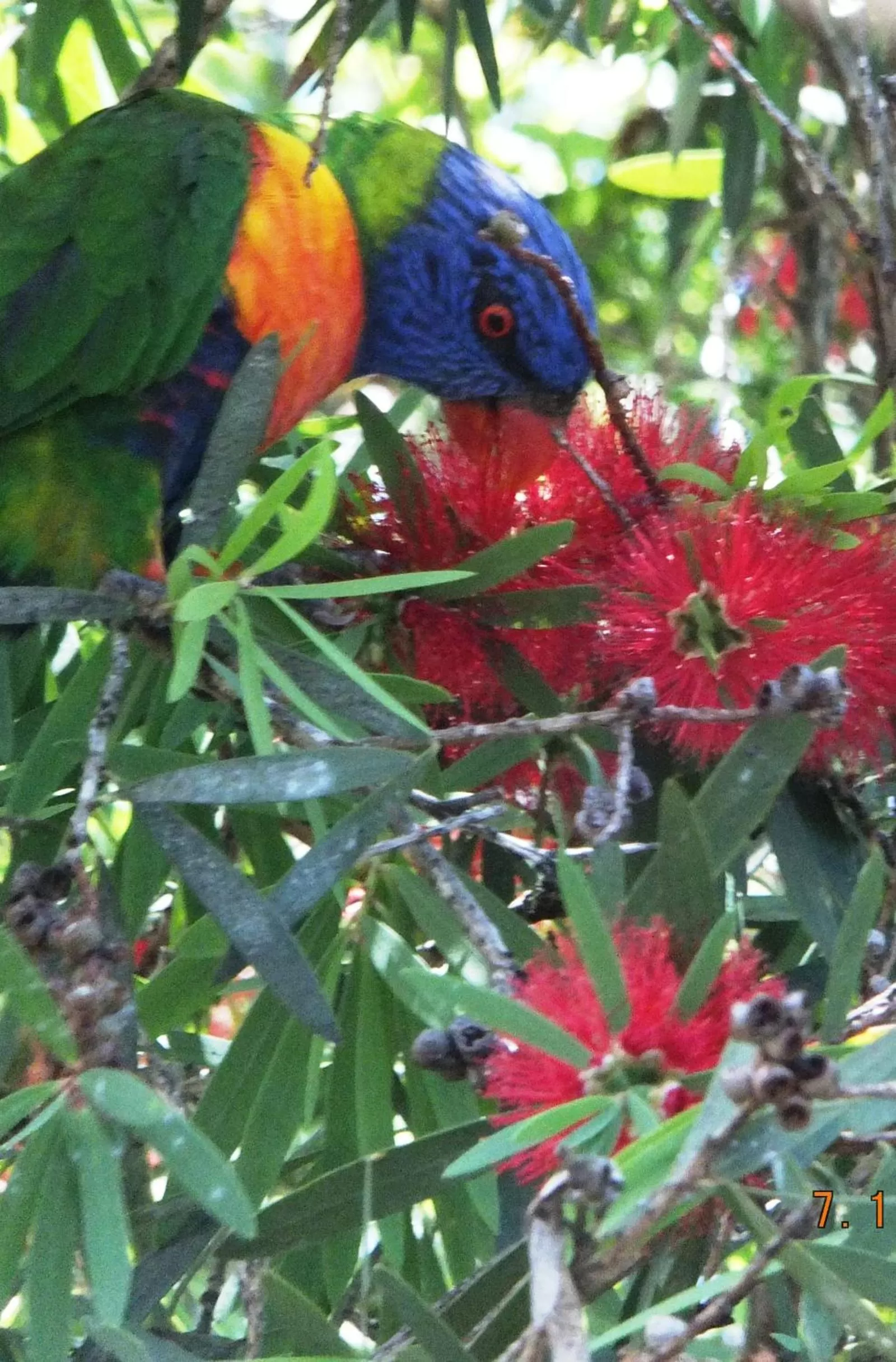 Garden view in Torquay Terrace Bed & Breakfast