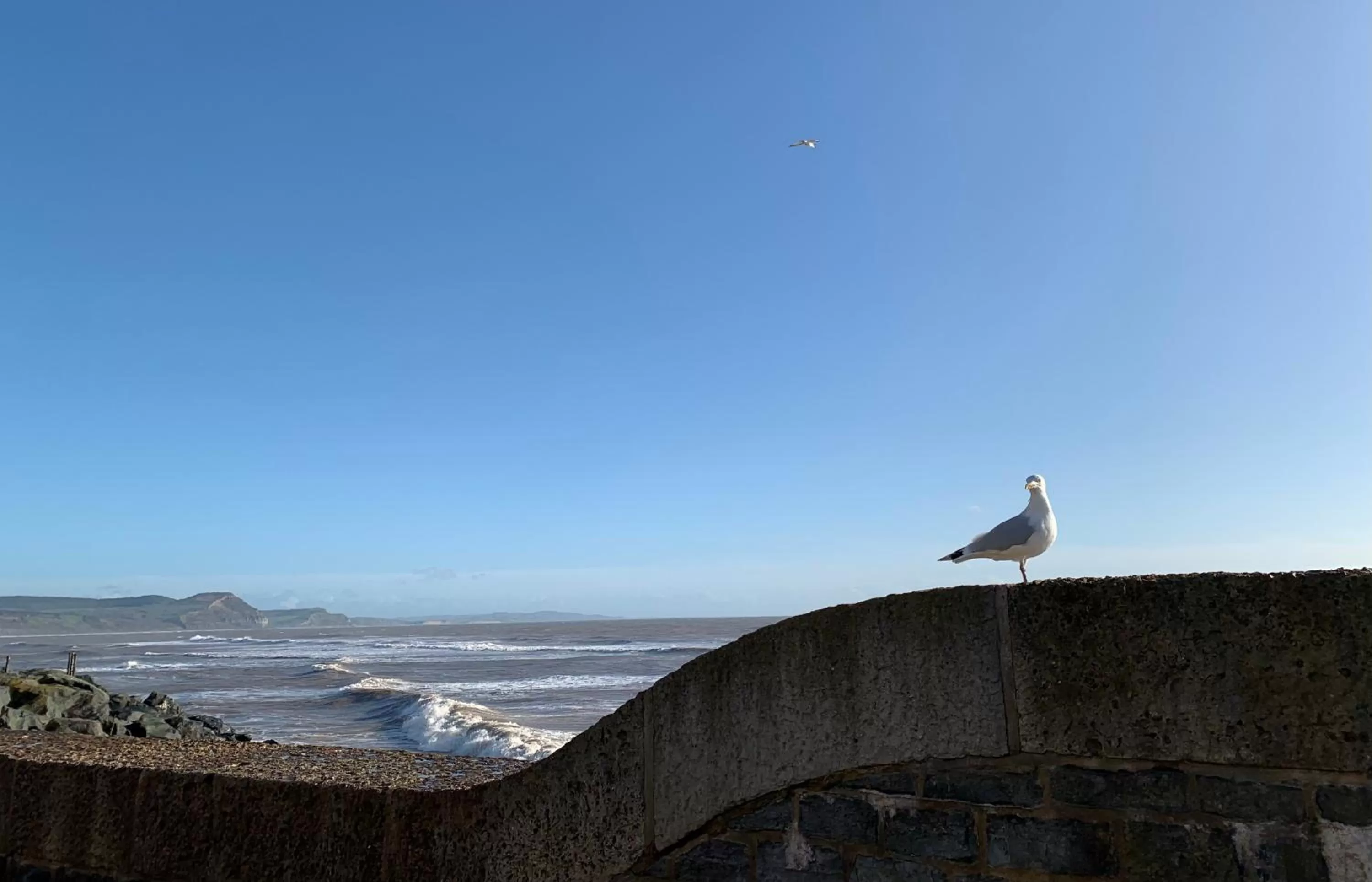 Nearby landmark in Nettle Bank