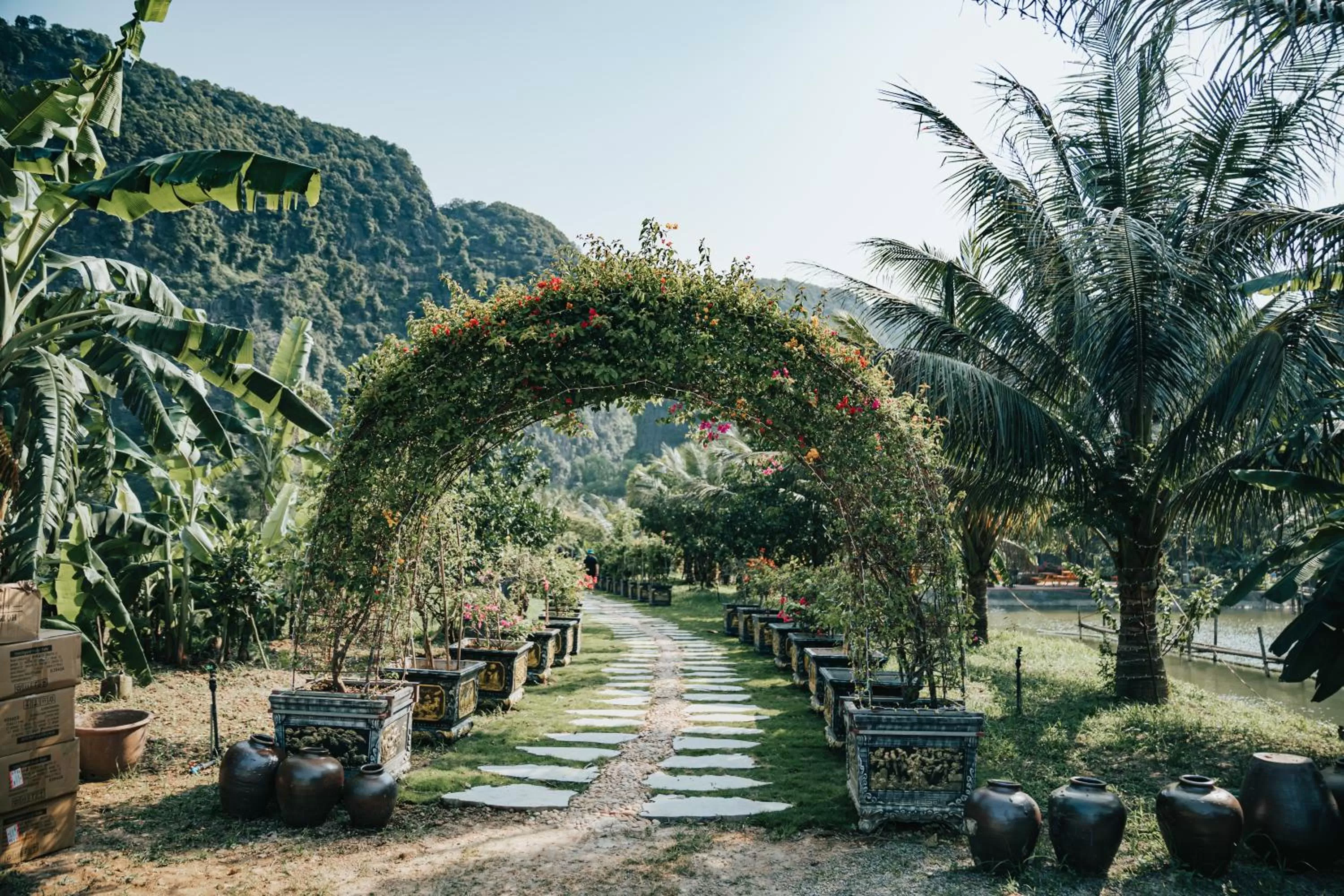Garden in Fairy Mountain Retreat