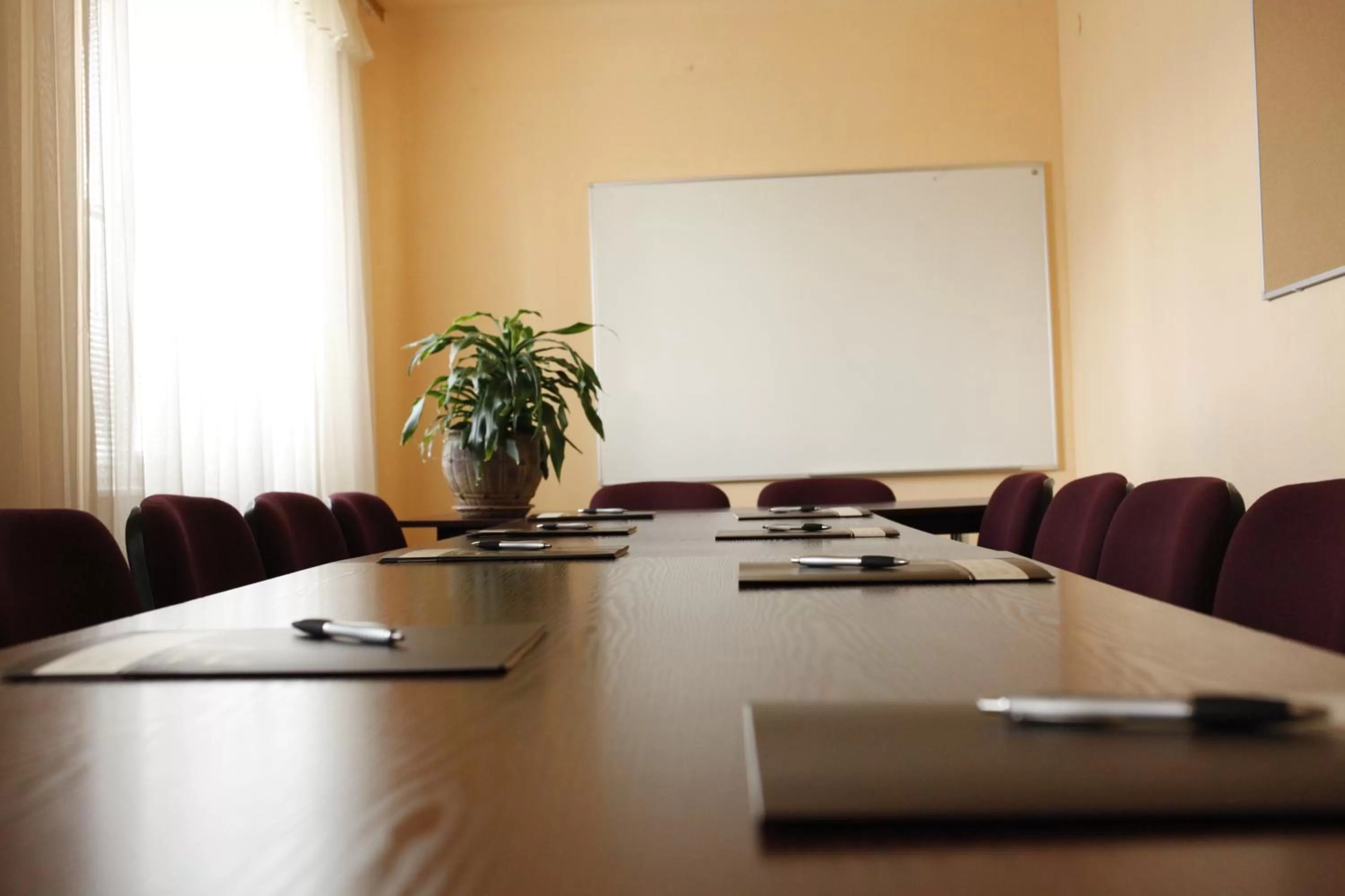Meeting/conference room in Iskra