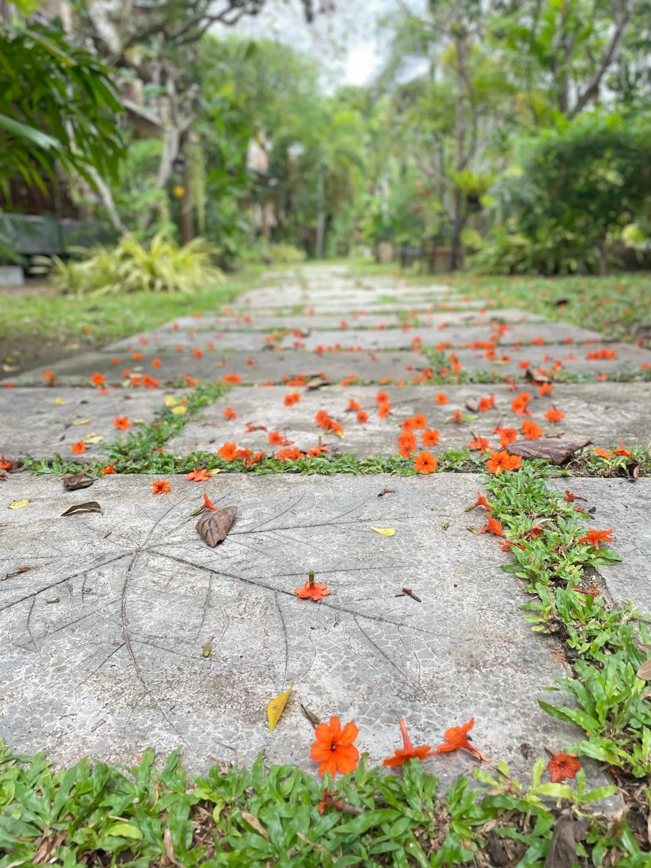Natural landscape in Grand Manita Beach Resort