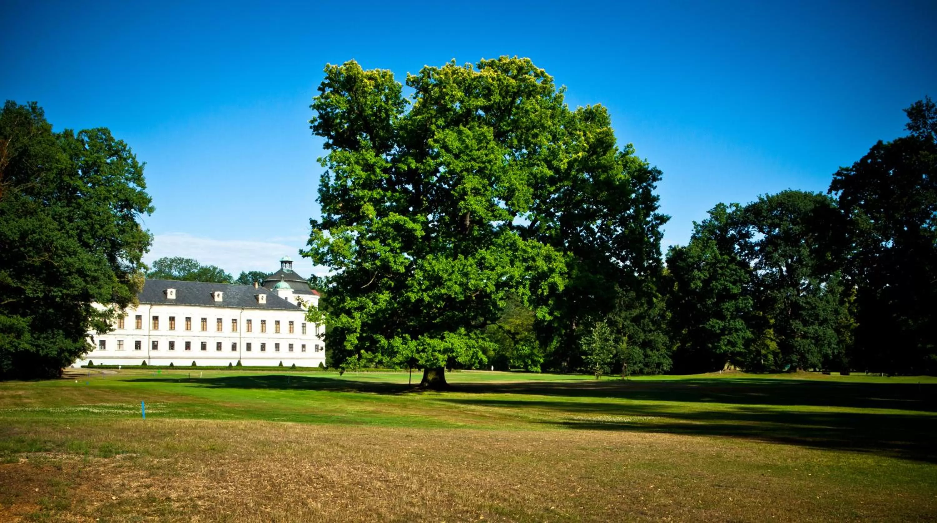 Golfcourse in Silesia Golf Resort Kravaře