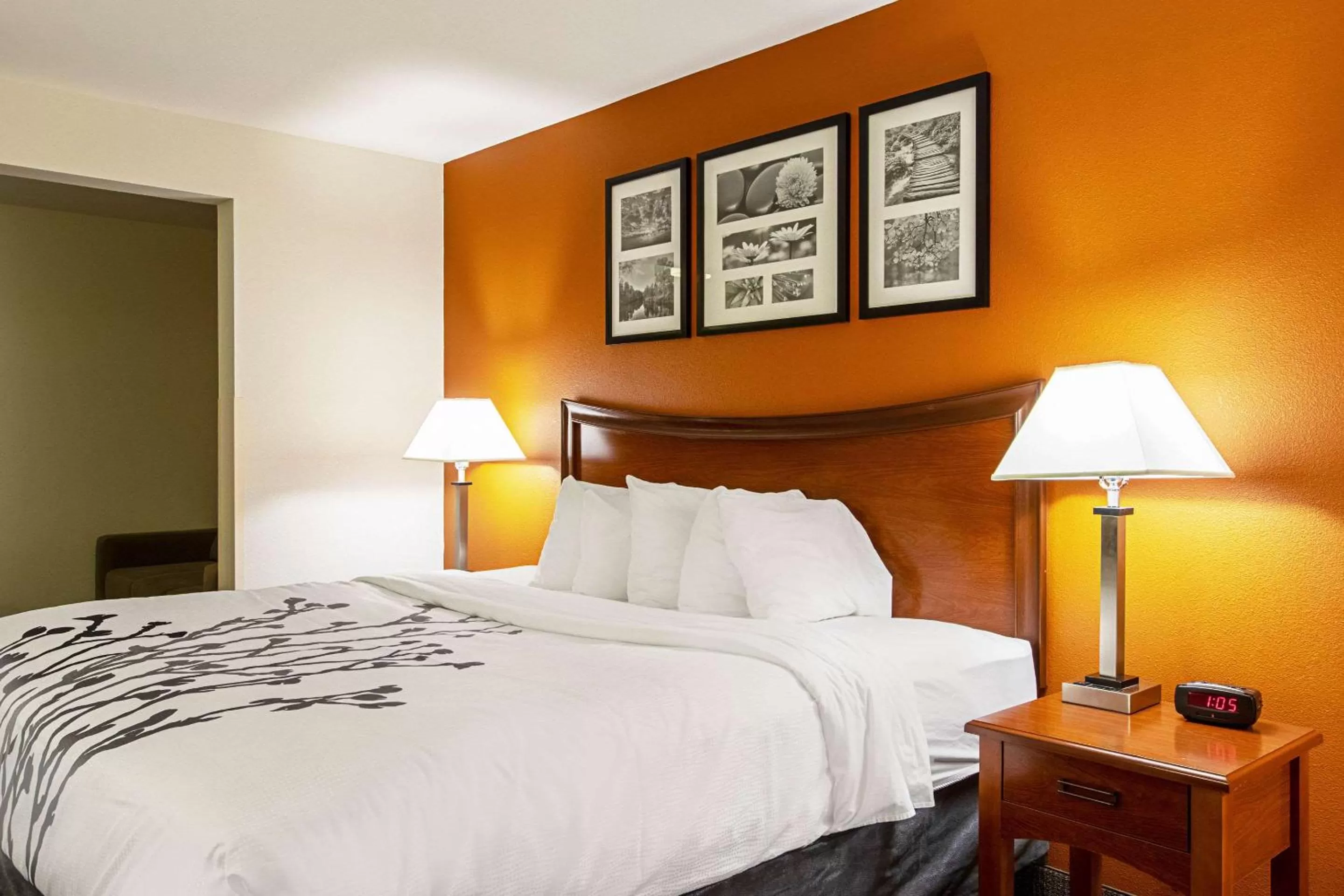 Photo of the whole room, Bed in Sleep Inn & Suites Hobbs