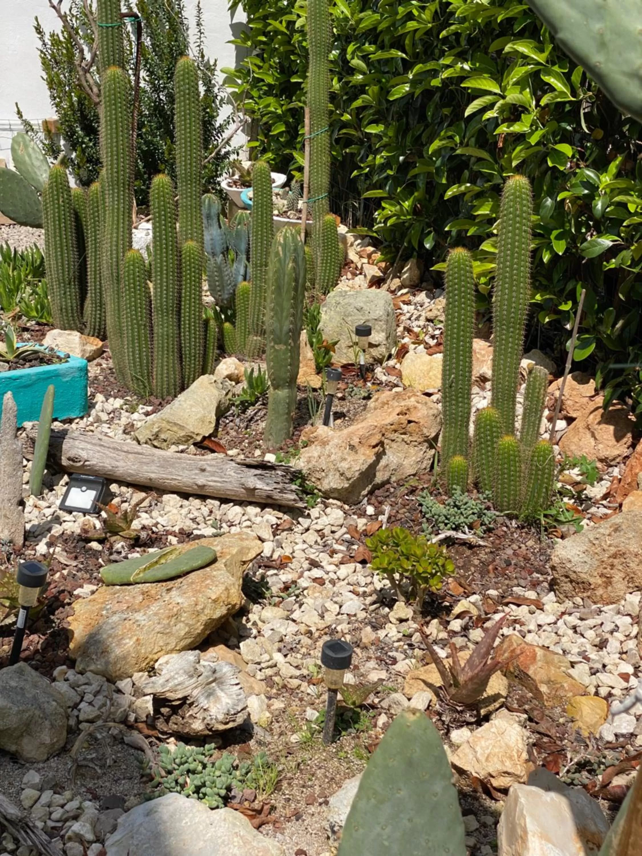 Garden in La casa di Nina