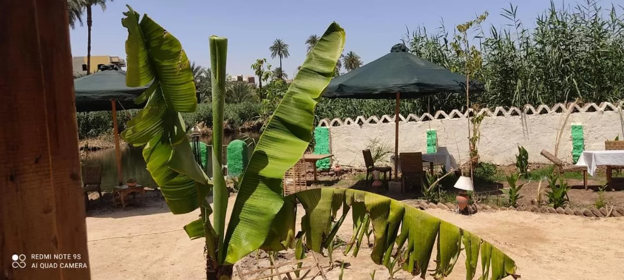 Luxor Old Nile Hotel