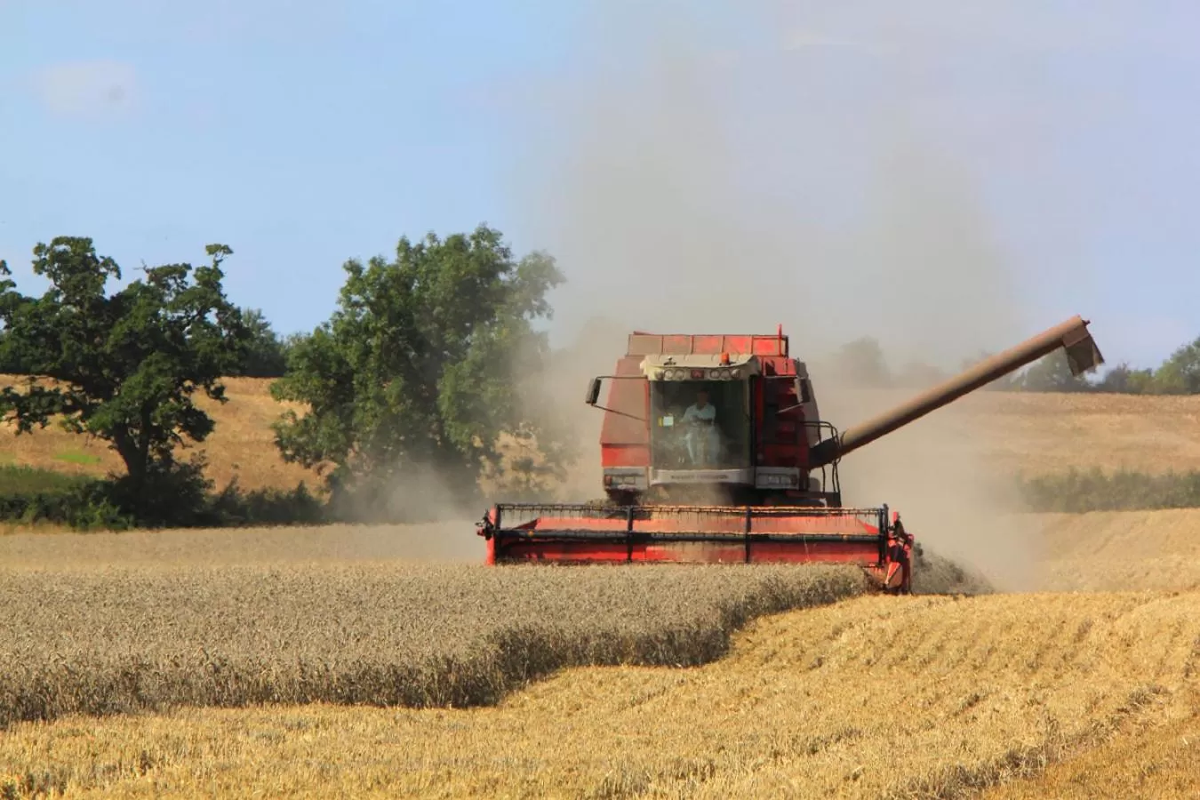 View (from property/room) in Highfield Farm