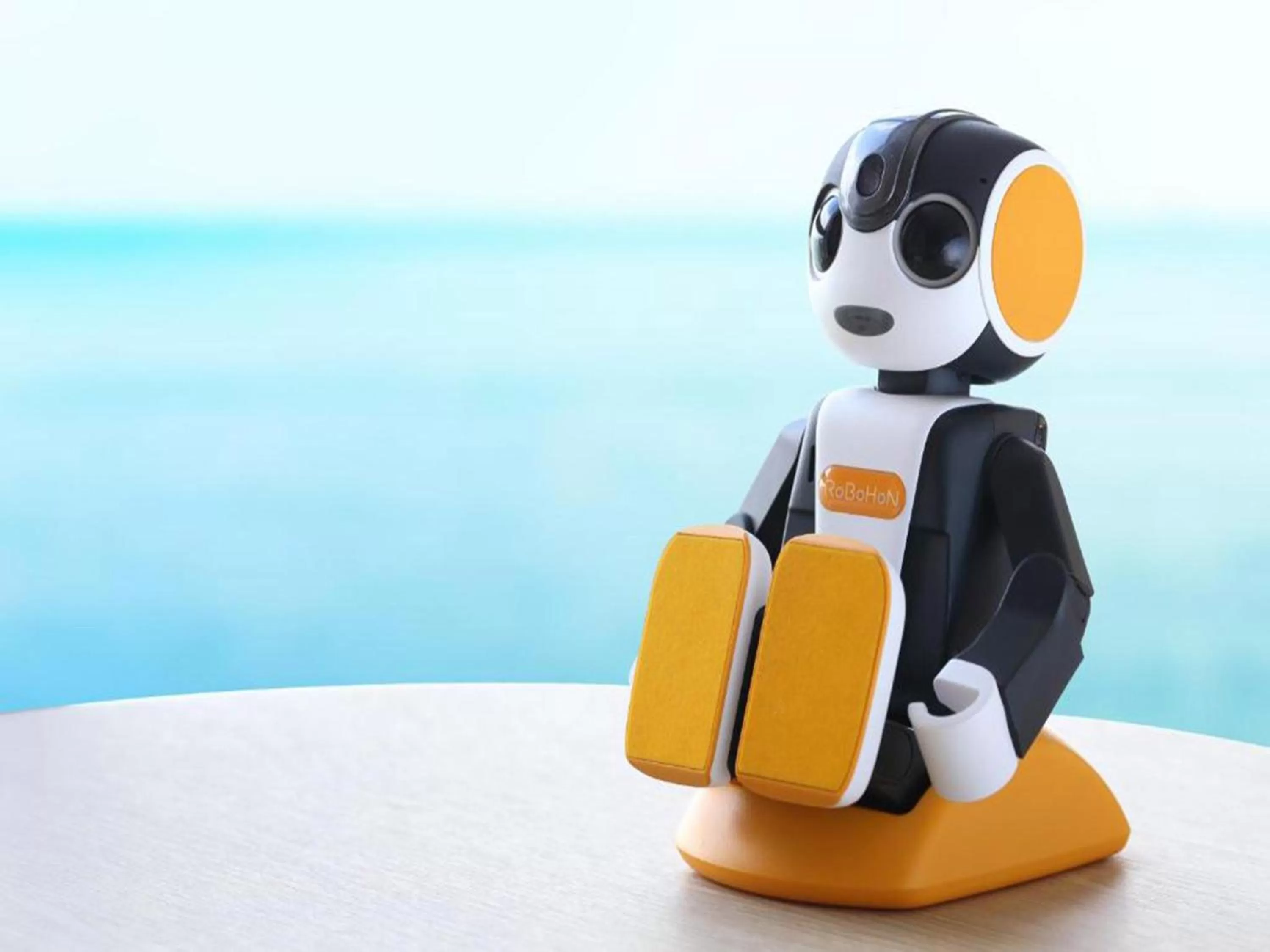 Staff in Henn na Hotel Kansai Airport