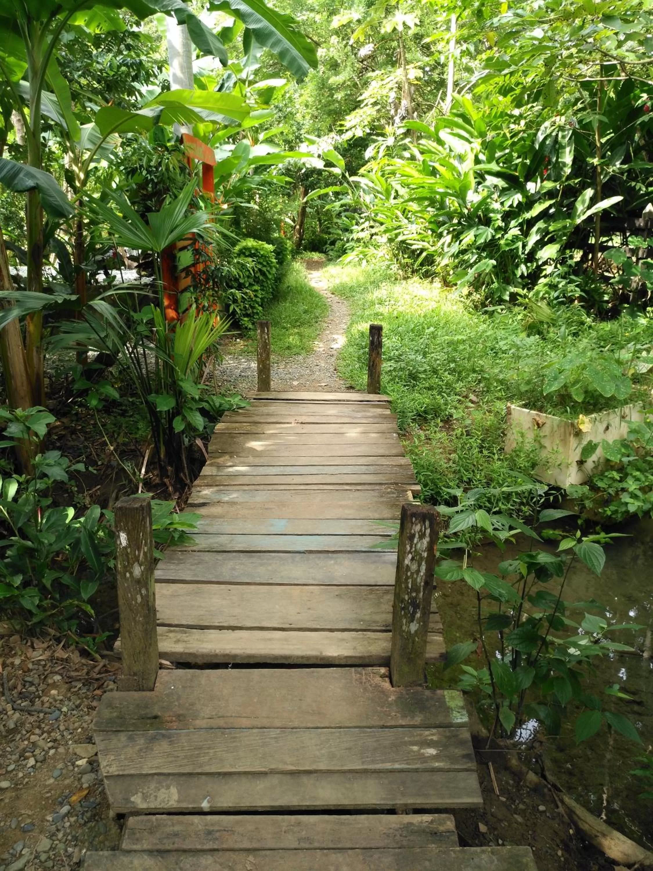 Off site in Los Robles Capurgana