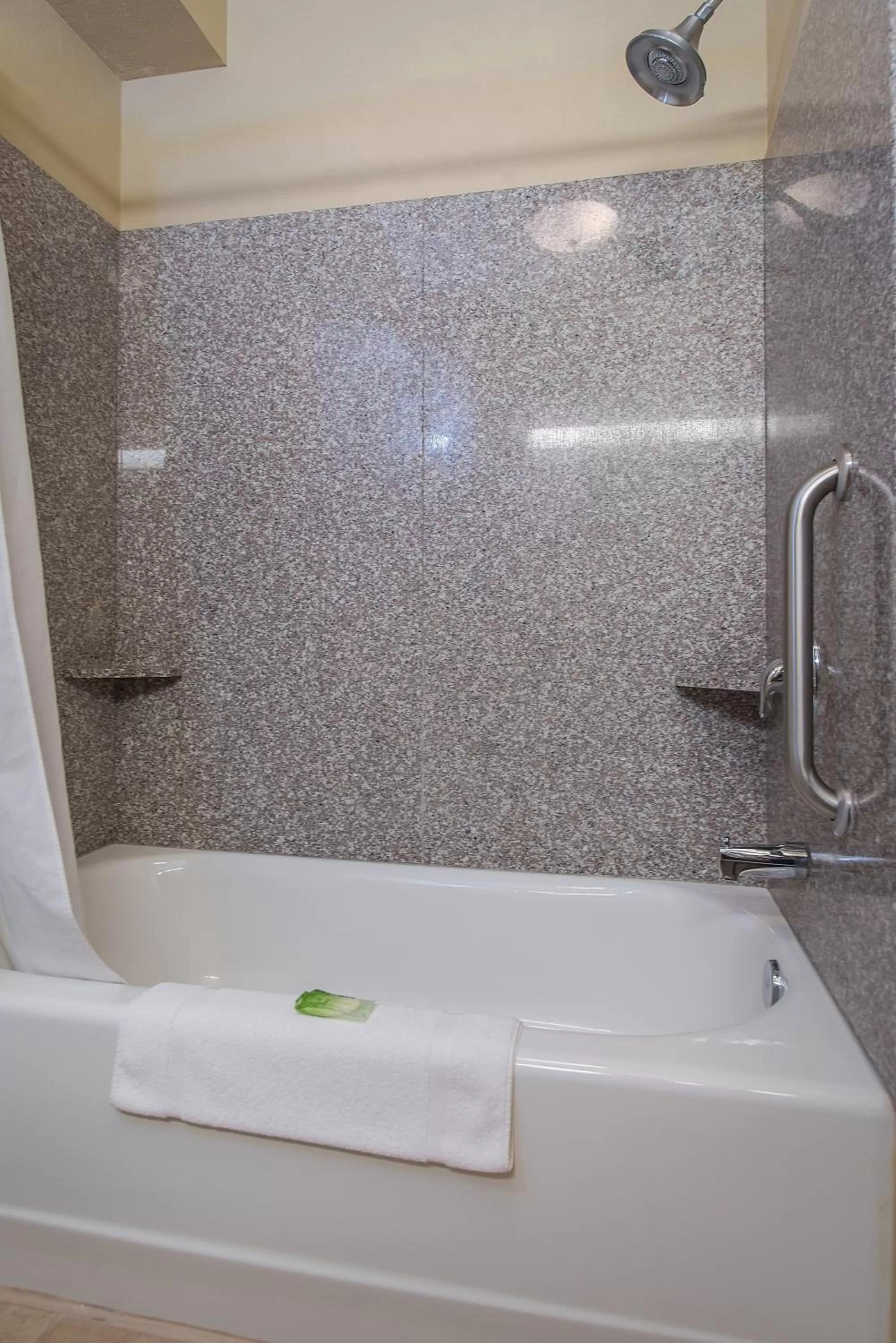 Shower in Baymont Inn & Suites by Wyndham Sturgis