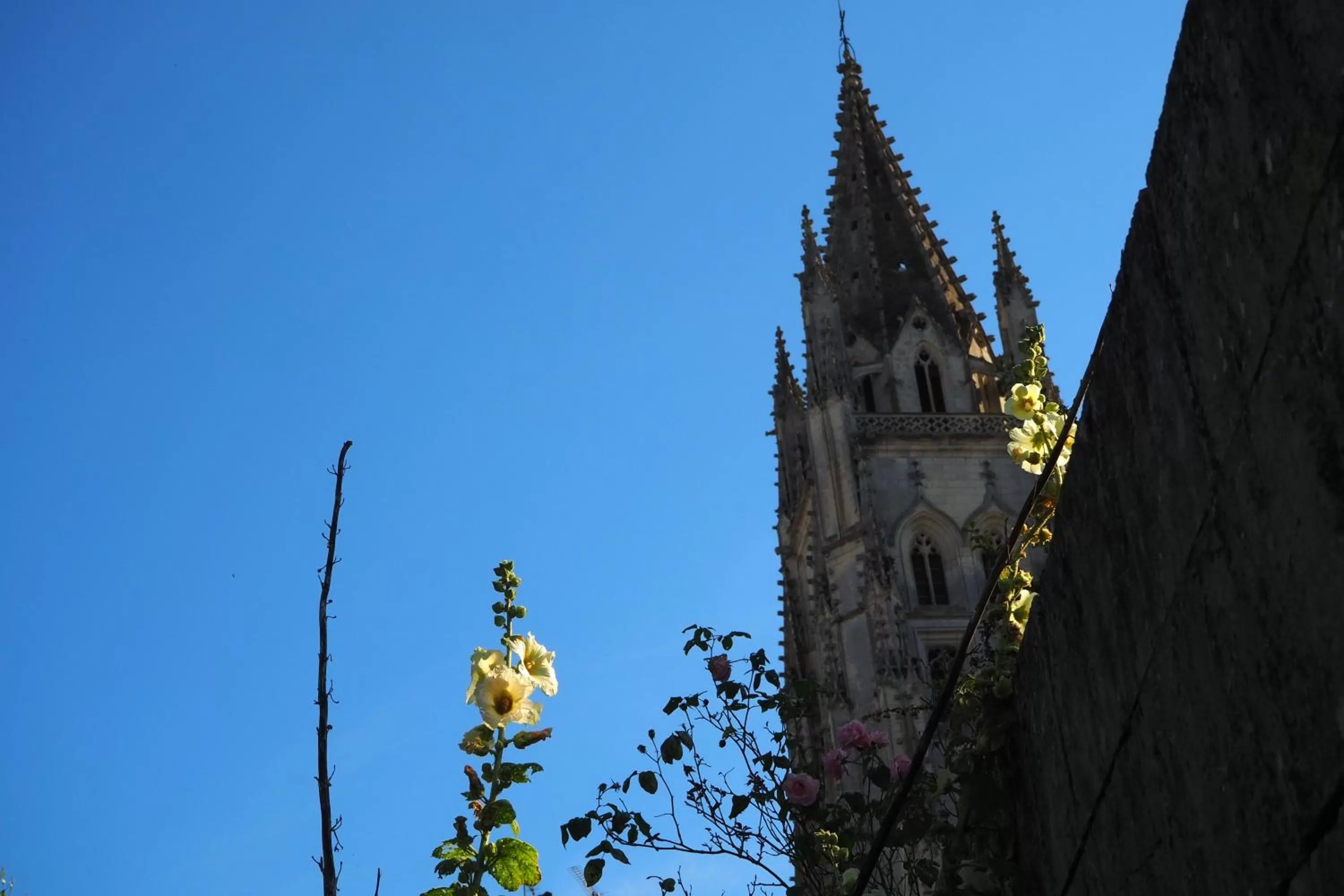 Landmark view in La Belle Etoile