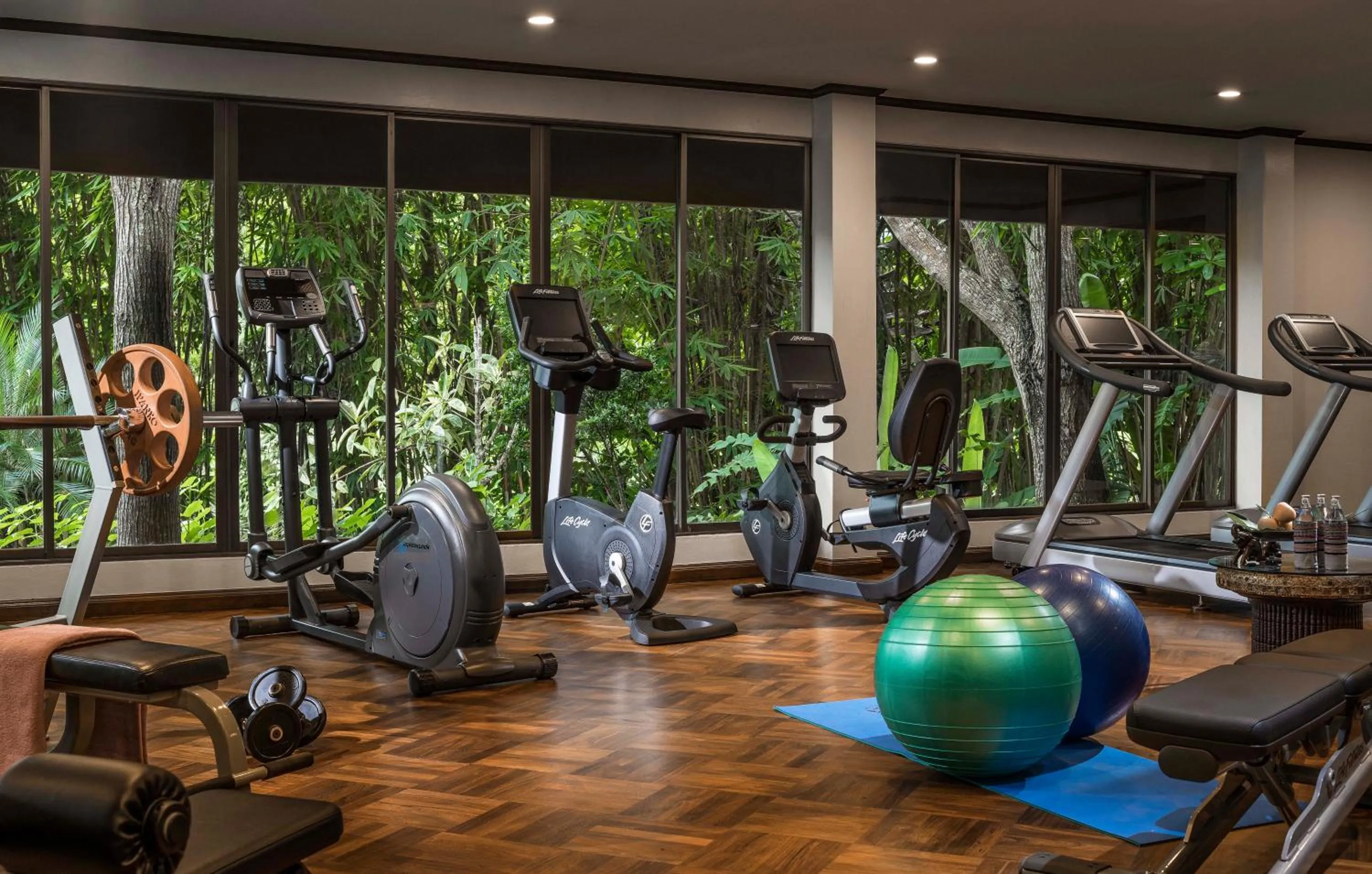Fitness centre/facilities in Anantara Golden Triangle Elephant Camp & Resort