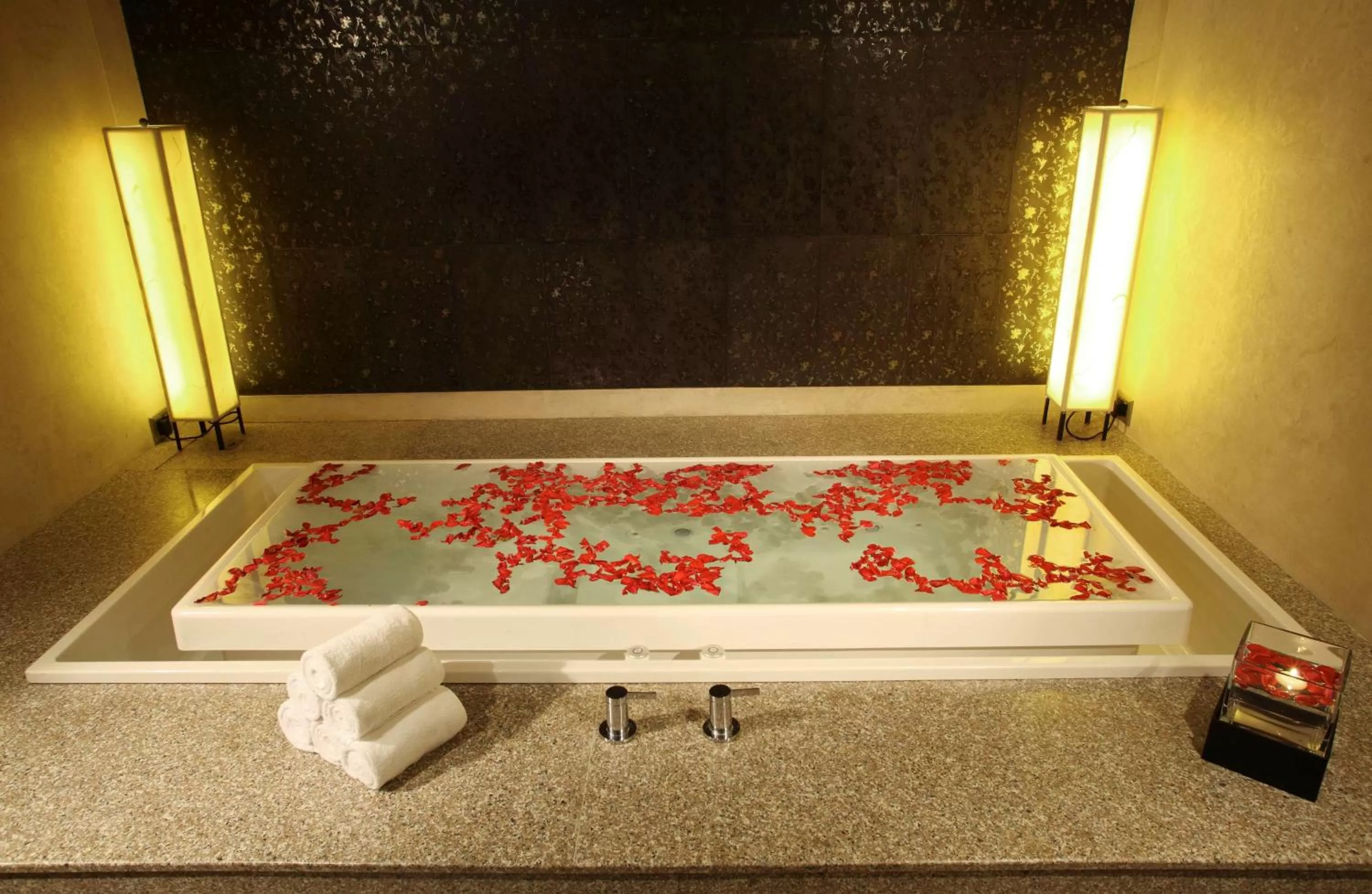 Spa and wellness centre/facilities in Radisson Blu Plaza Delhi Airport