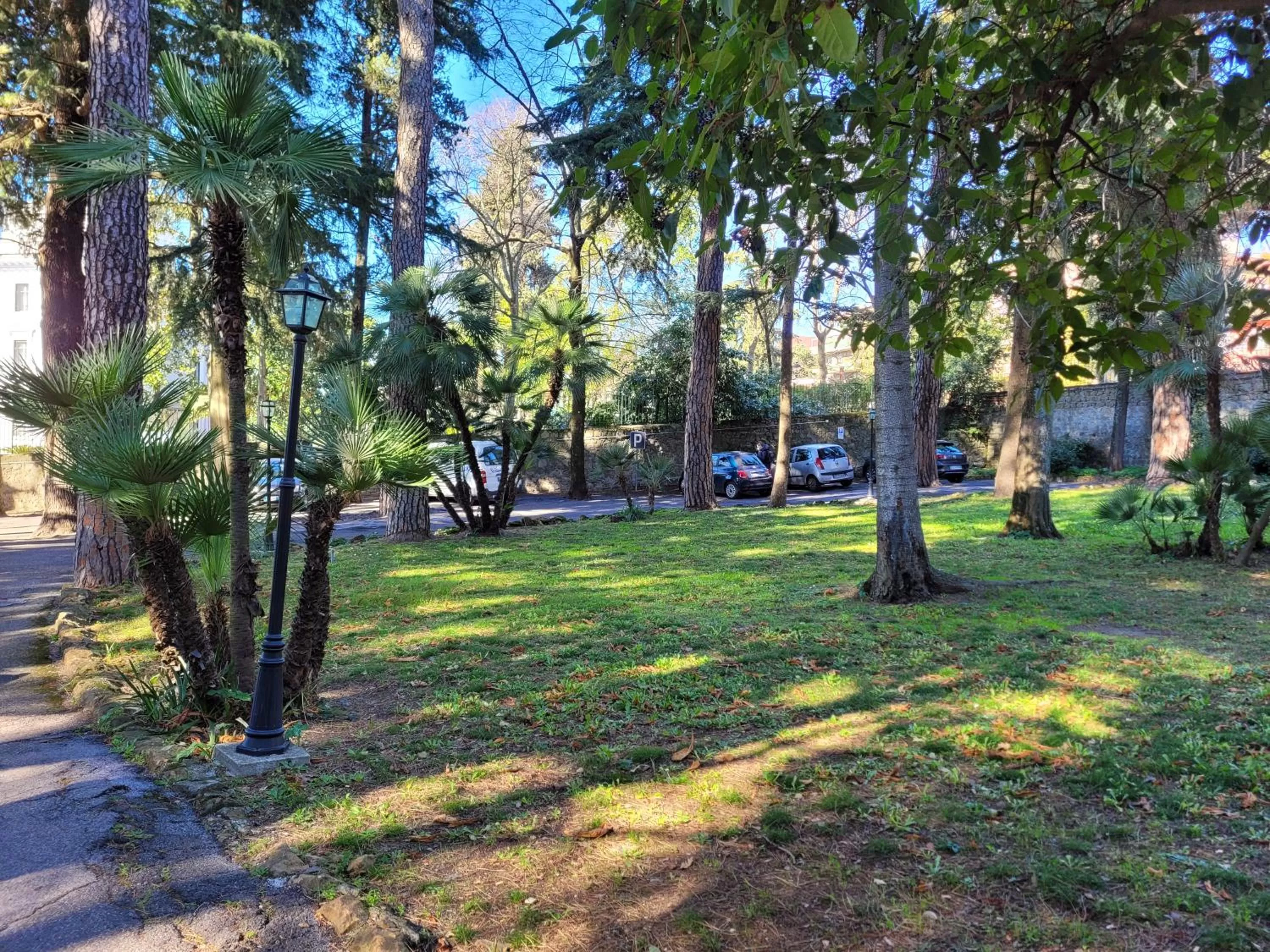 Garden in Hotel Villa Aricia