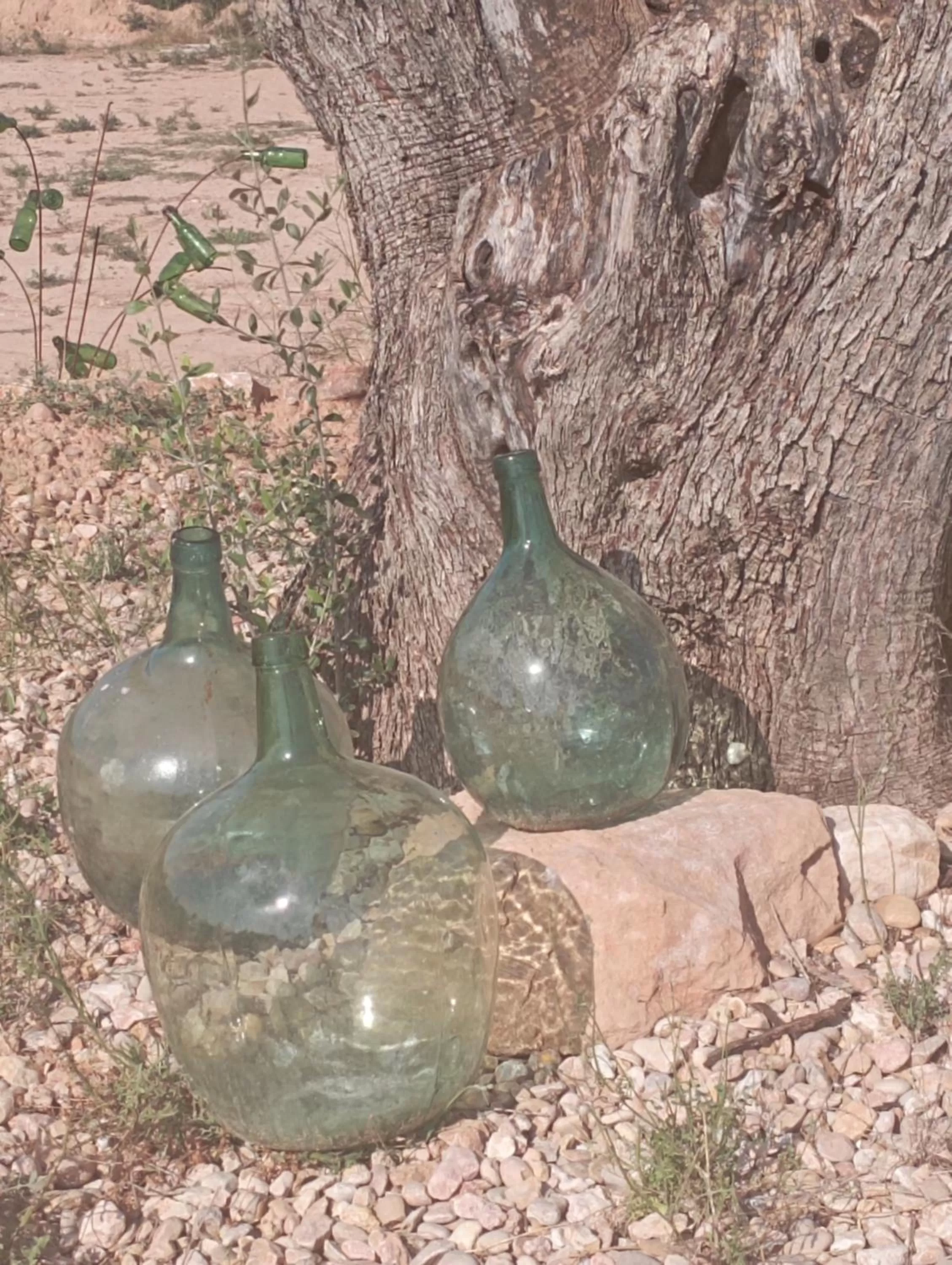 Garden, Other Animals in Cabezo Buñuel Hostal