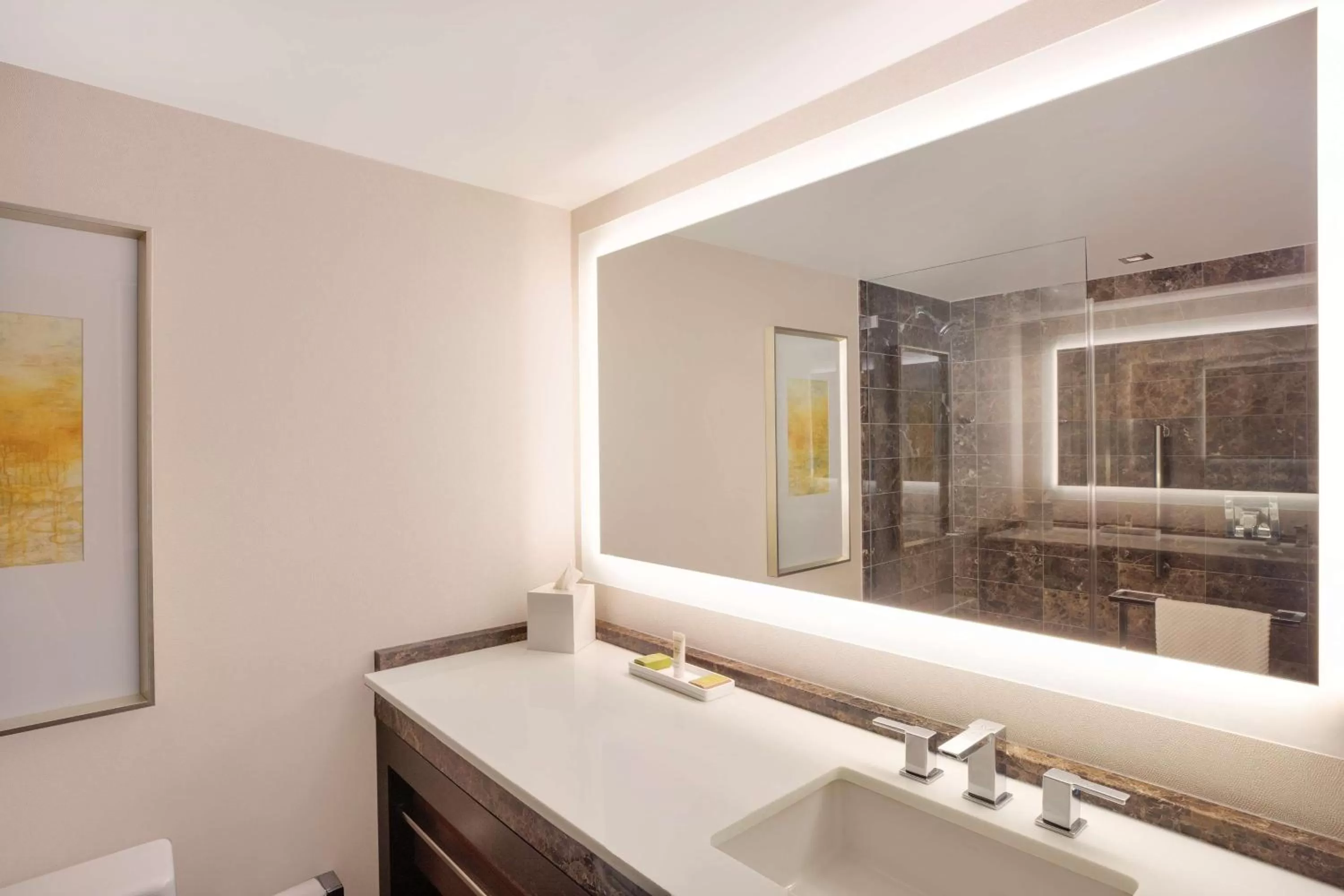 Bathroom in Hilton McLean Tysons Corner