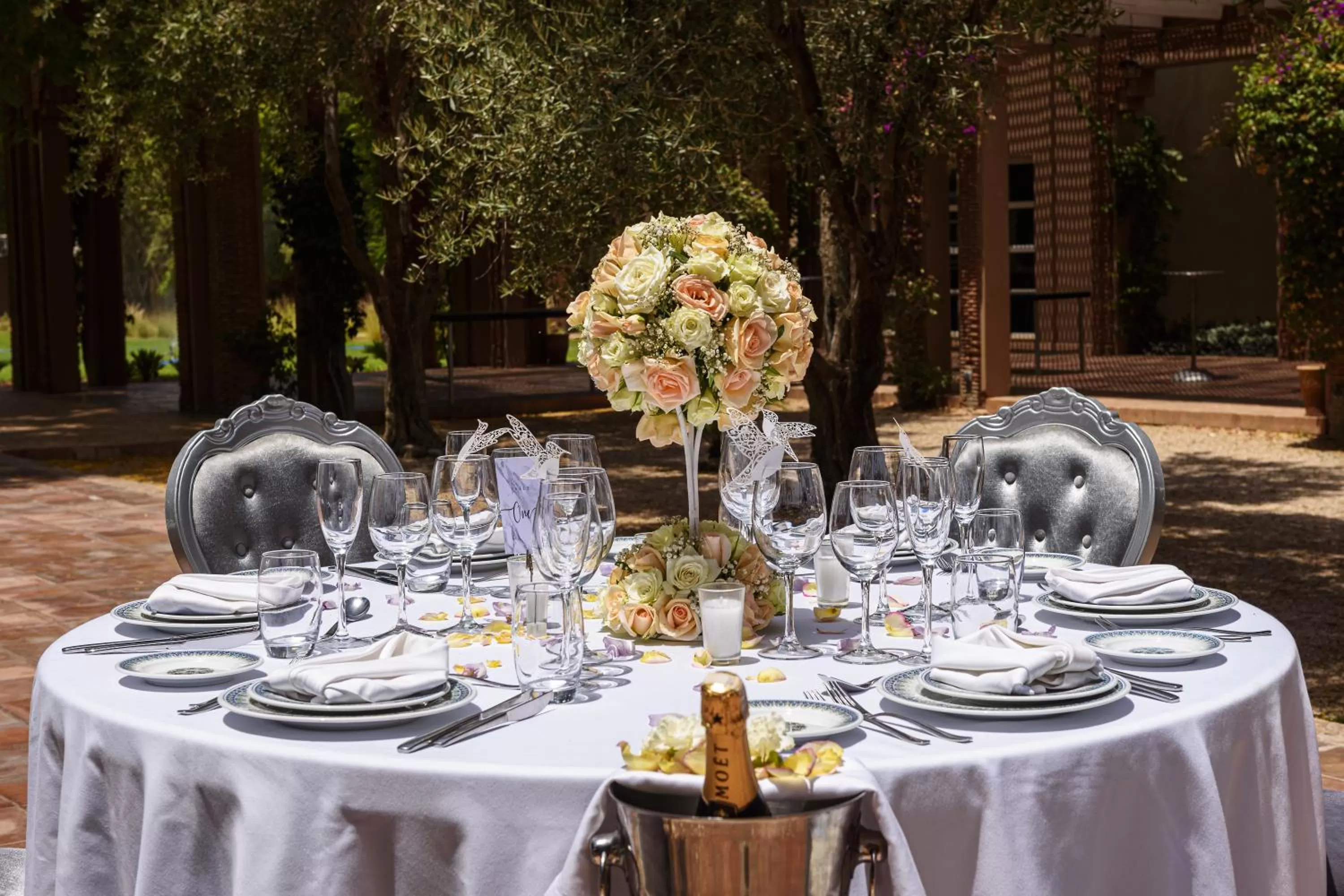 wedding in Barceló Palmeraie Oasis Resort