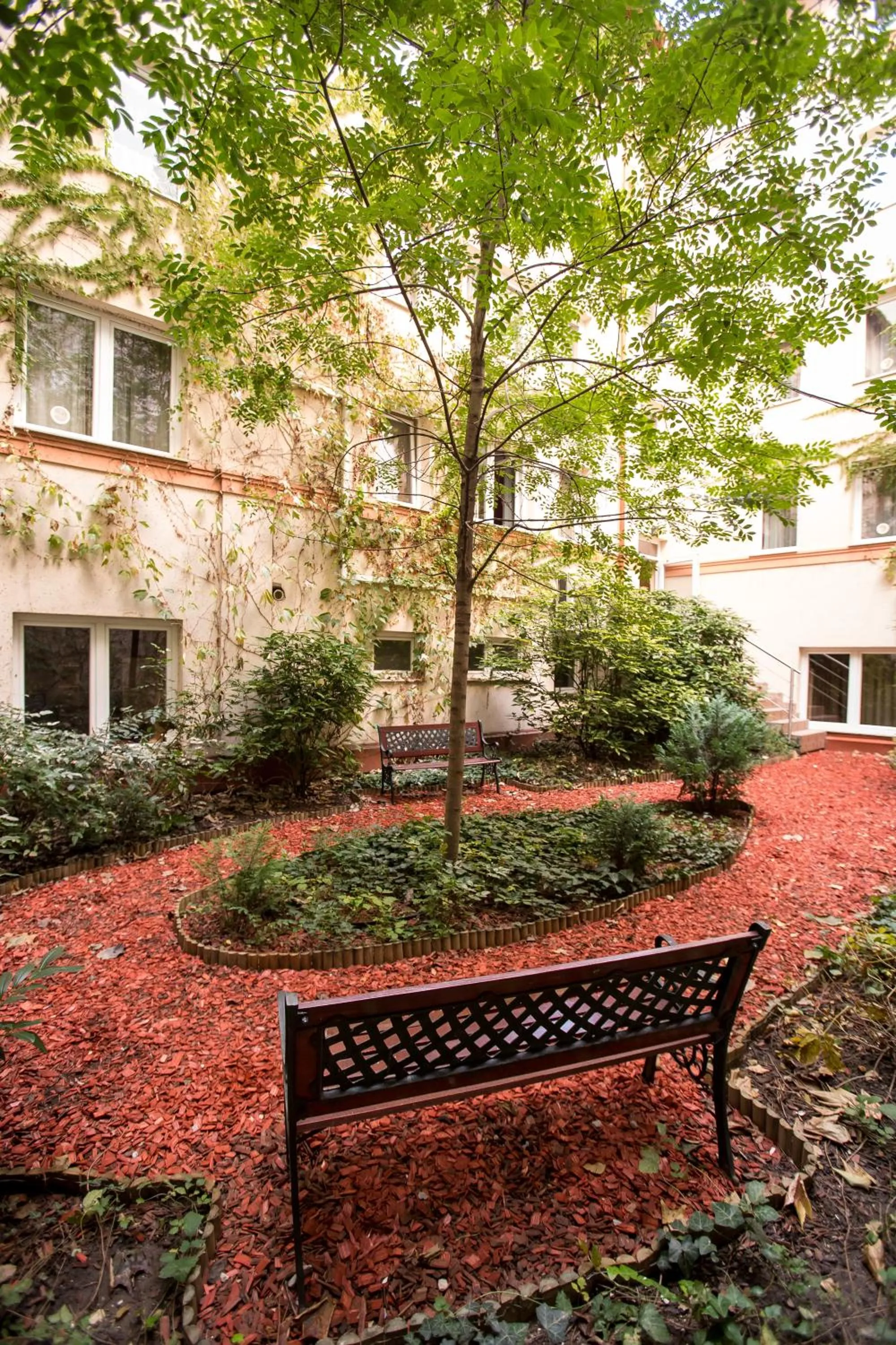 Garden in City Home Budapest