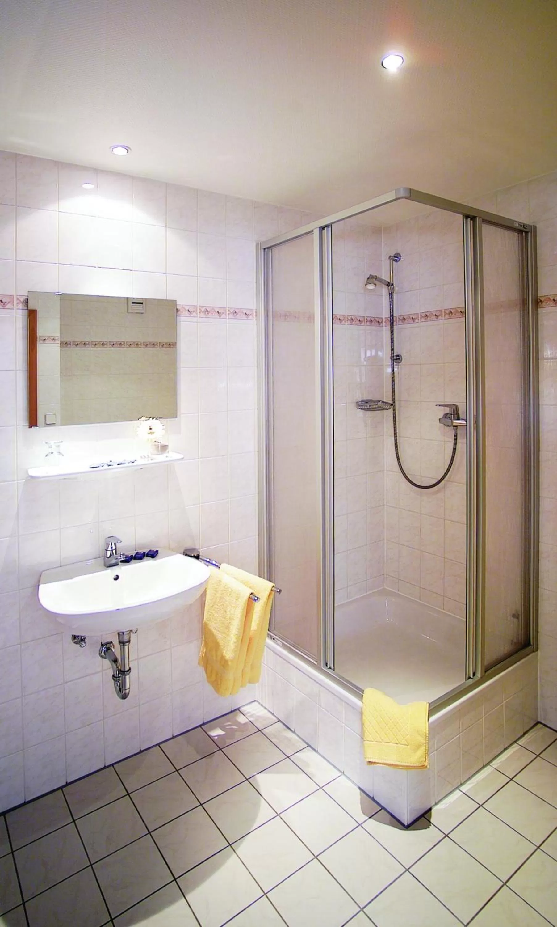 Shower in Hotel Am Quellberg
