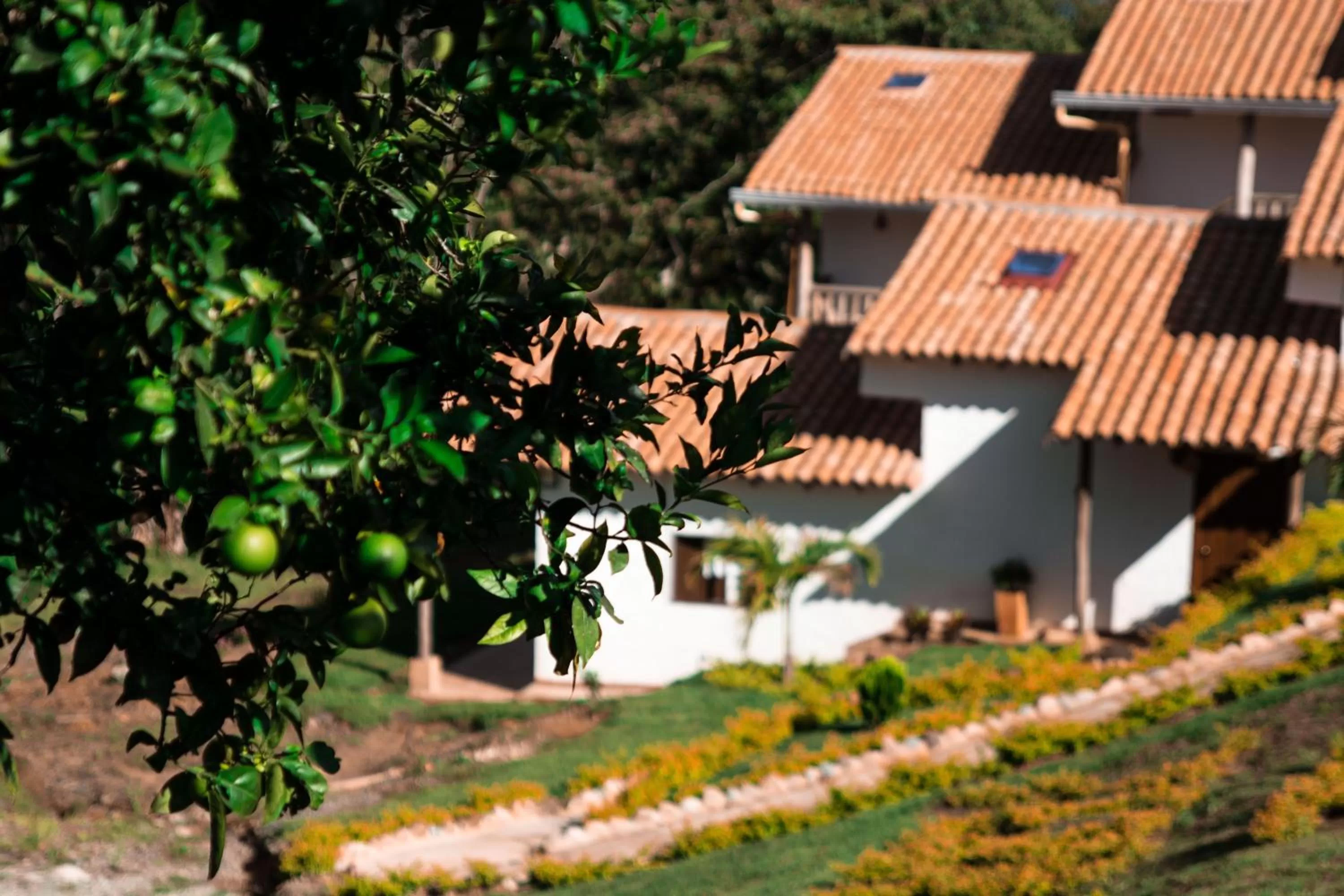 Area and facilities, Property Building in Terrazas de Guadalupe