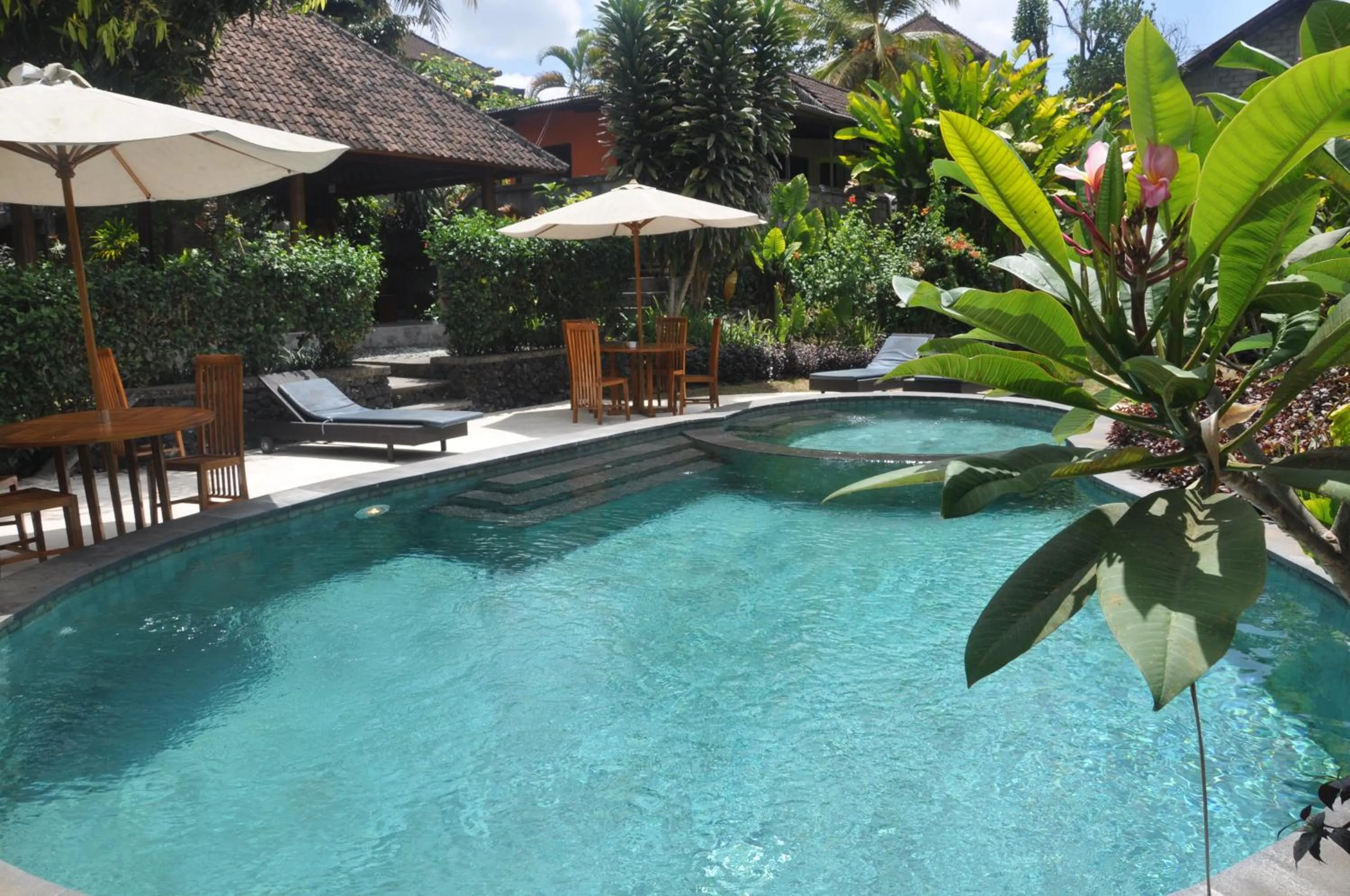Swimming pool in Argasoka Bungalows