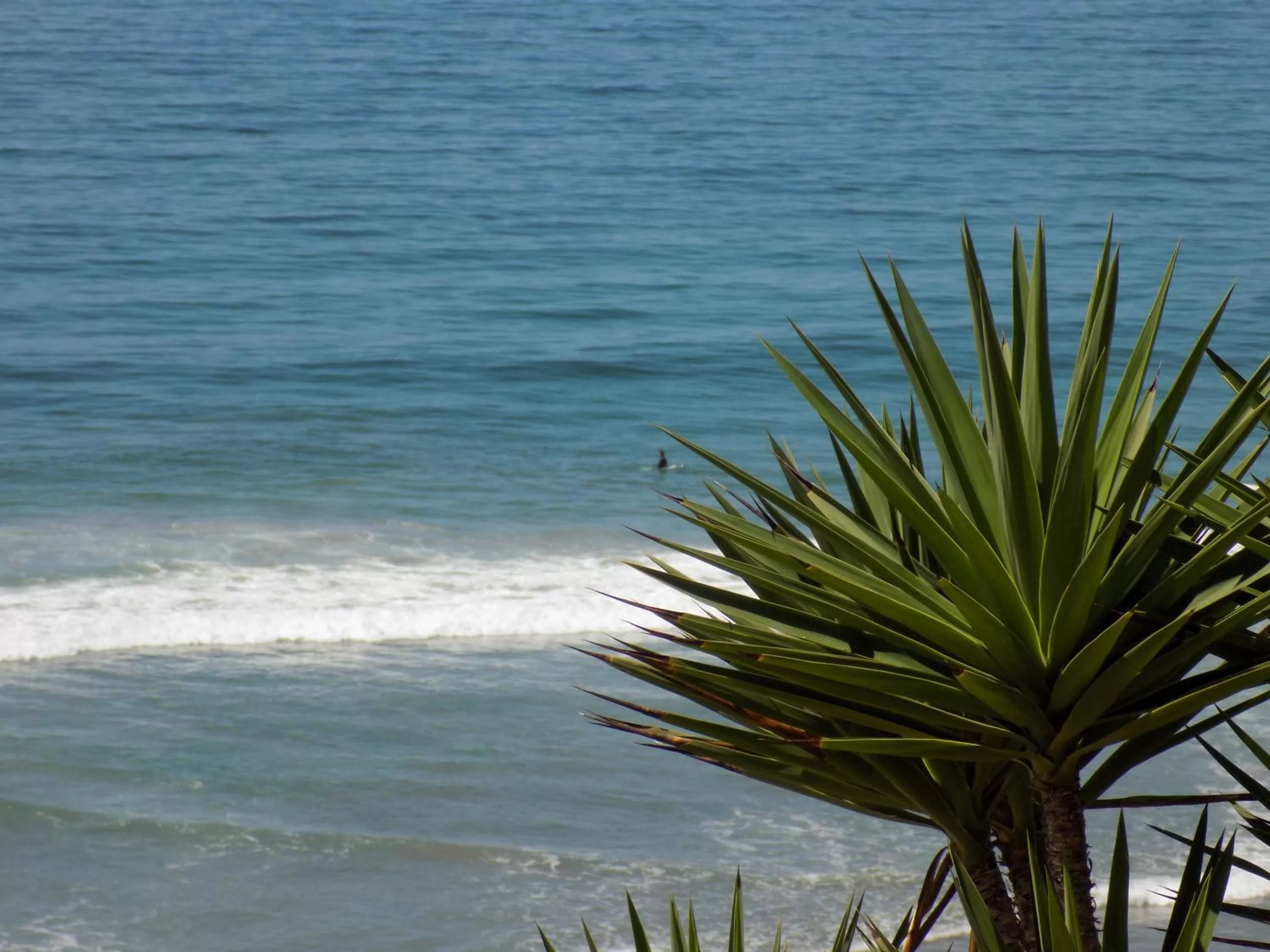 Restaurant/places to eat in Poco Cielo Hotel