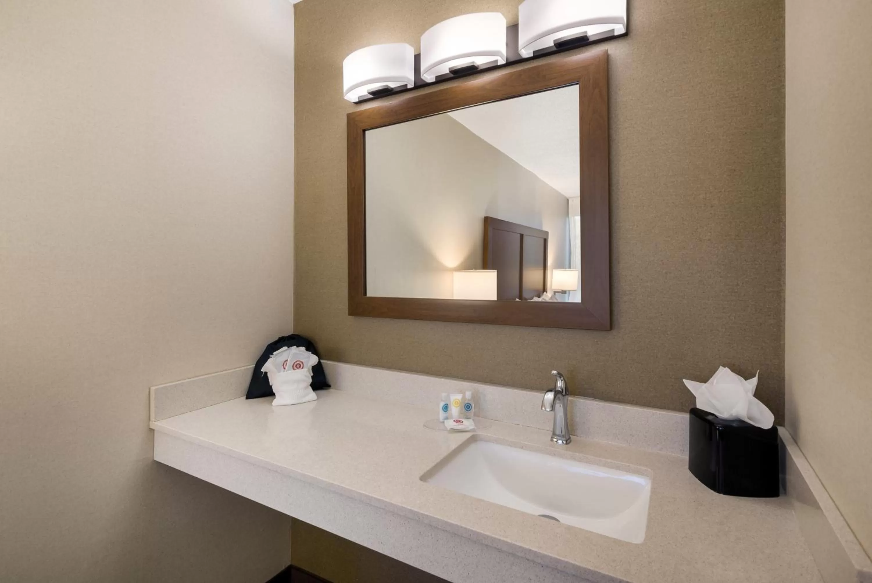 Bathroom in Comfort Inn Lexington Virginia Horse Center