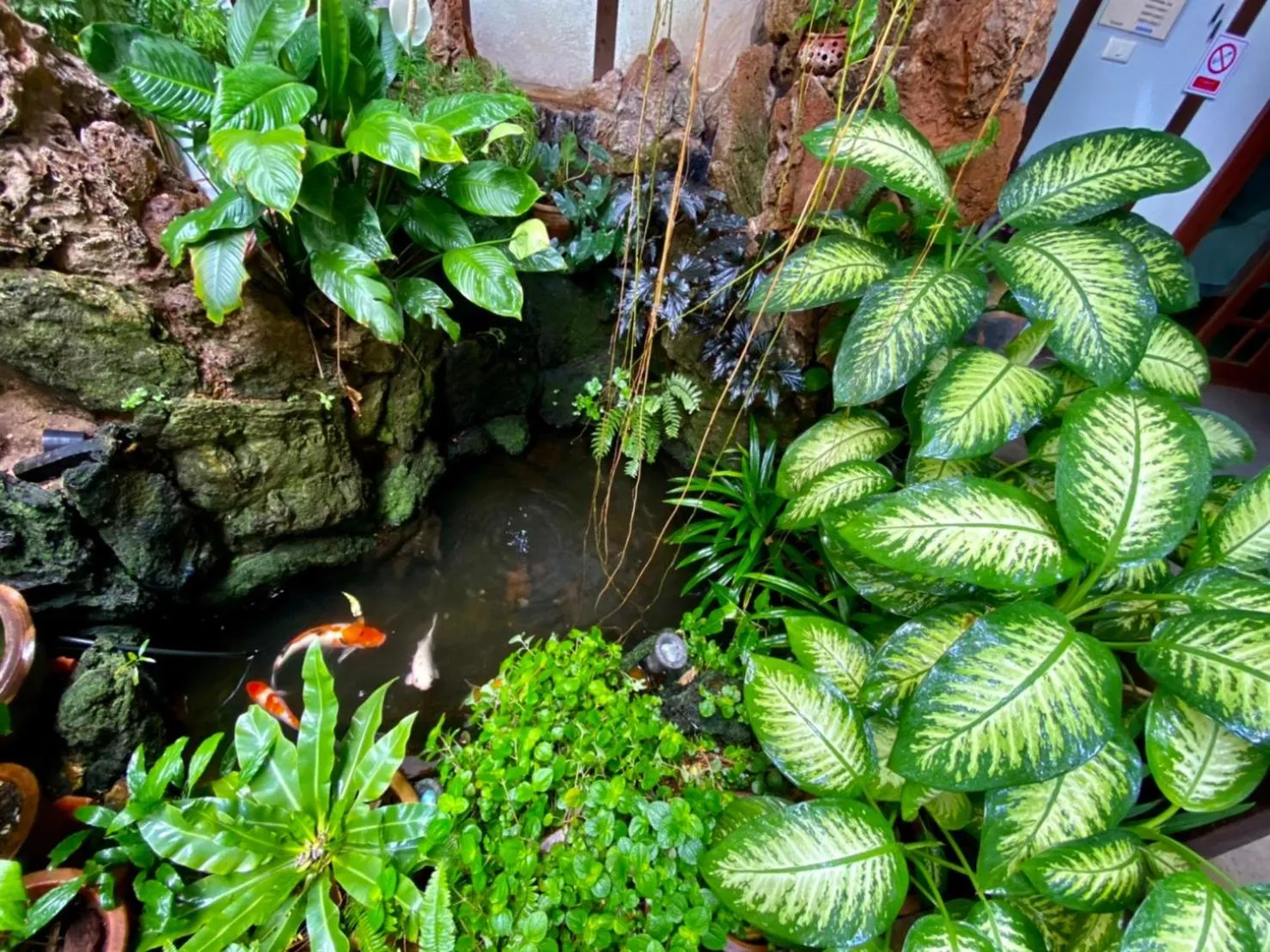 Natural landscape in The Twenty Lodge