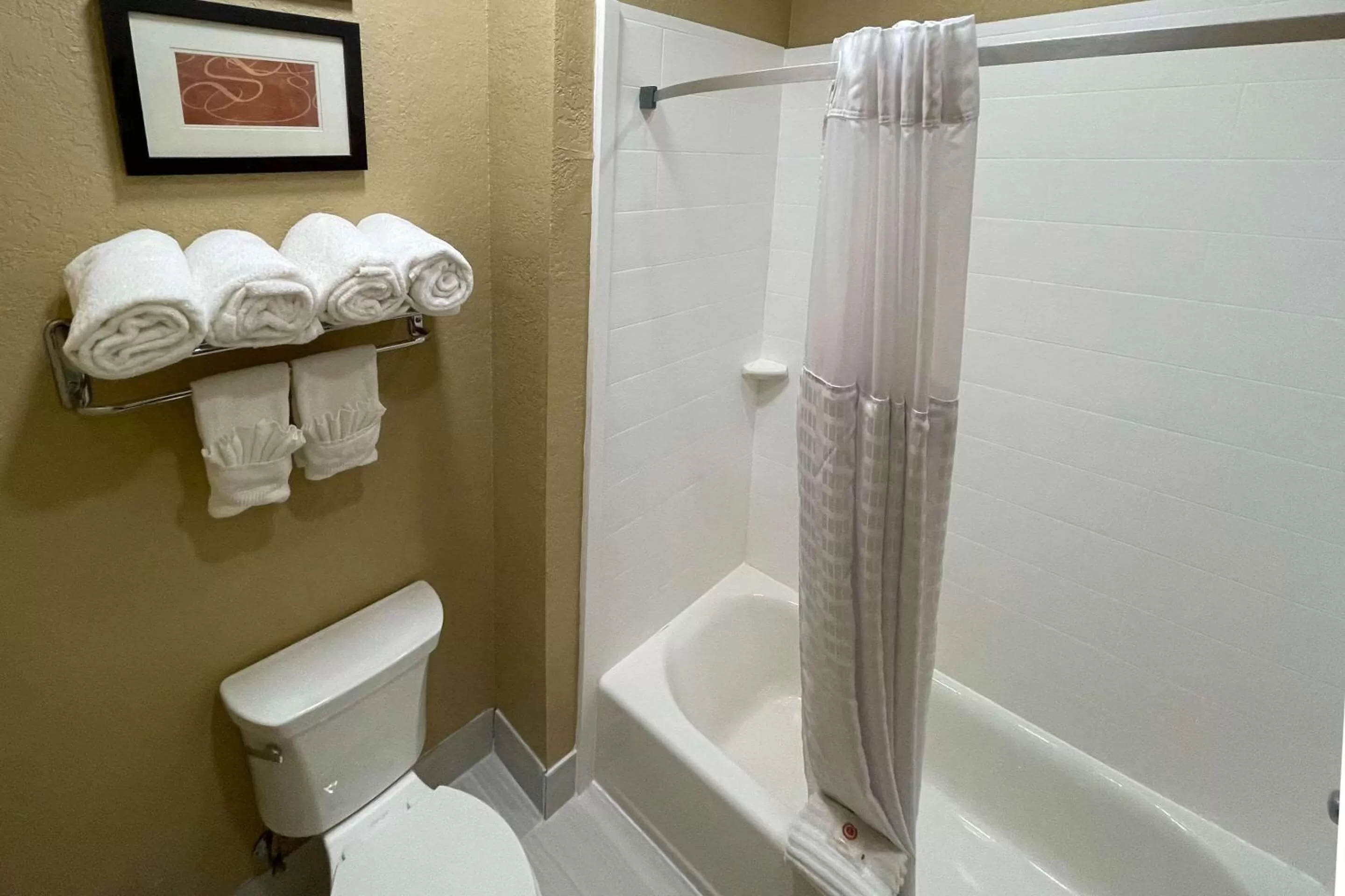 Toilet in Comfort Suites Near Seaworld