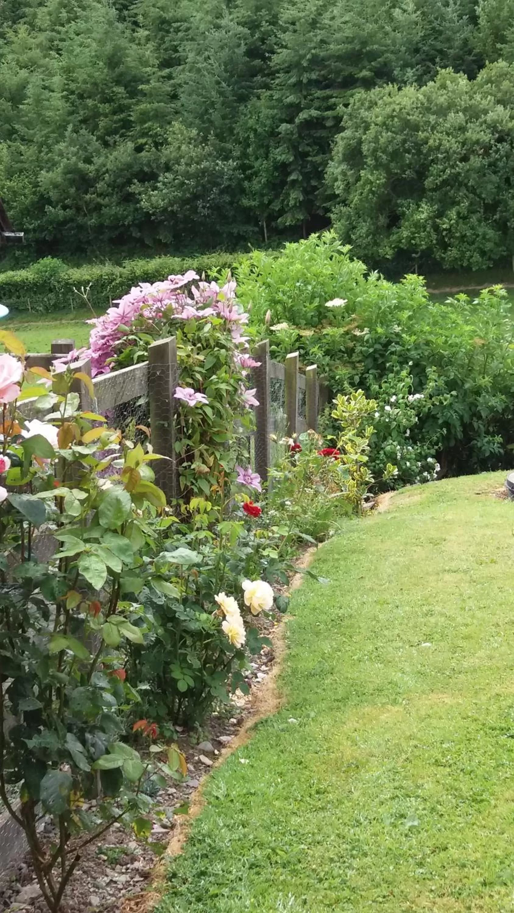 Natural landscape, Garden in Middle Woodbatch B&B