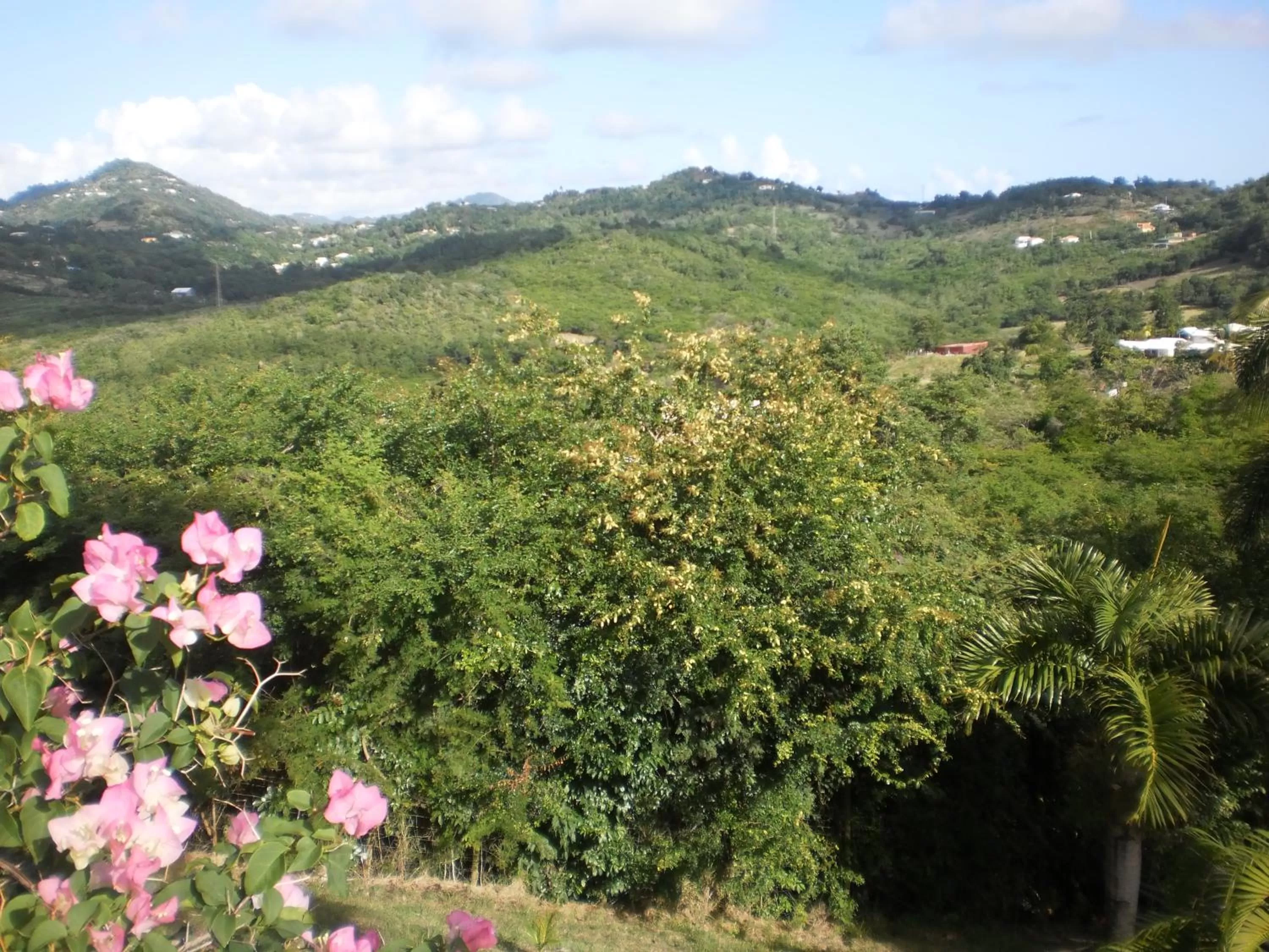 Property building, Natural Landscape in Bed and breakfast Riviere