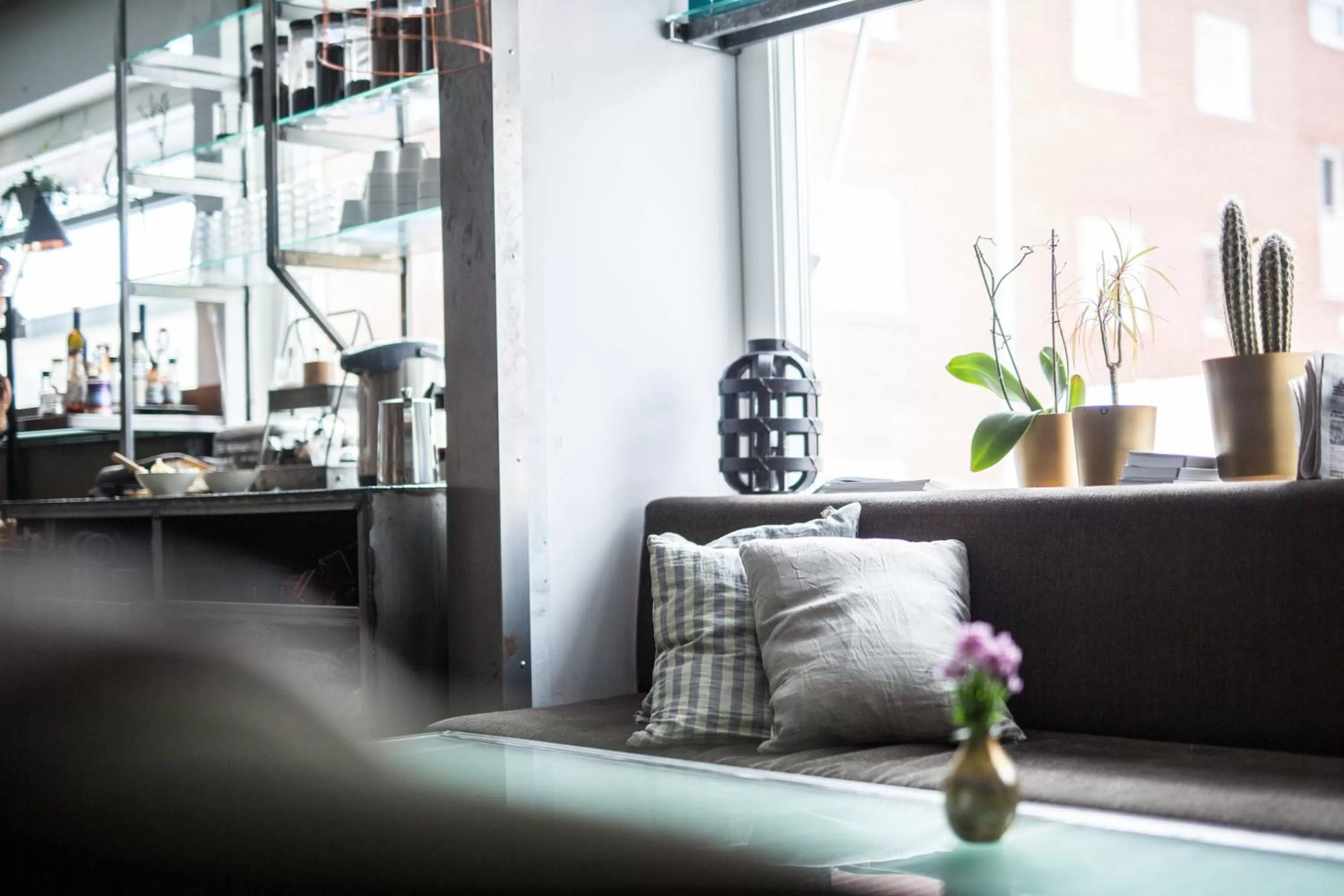 Restaurant/places to eat in SPiS Hotel & Hostel