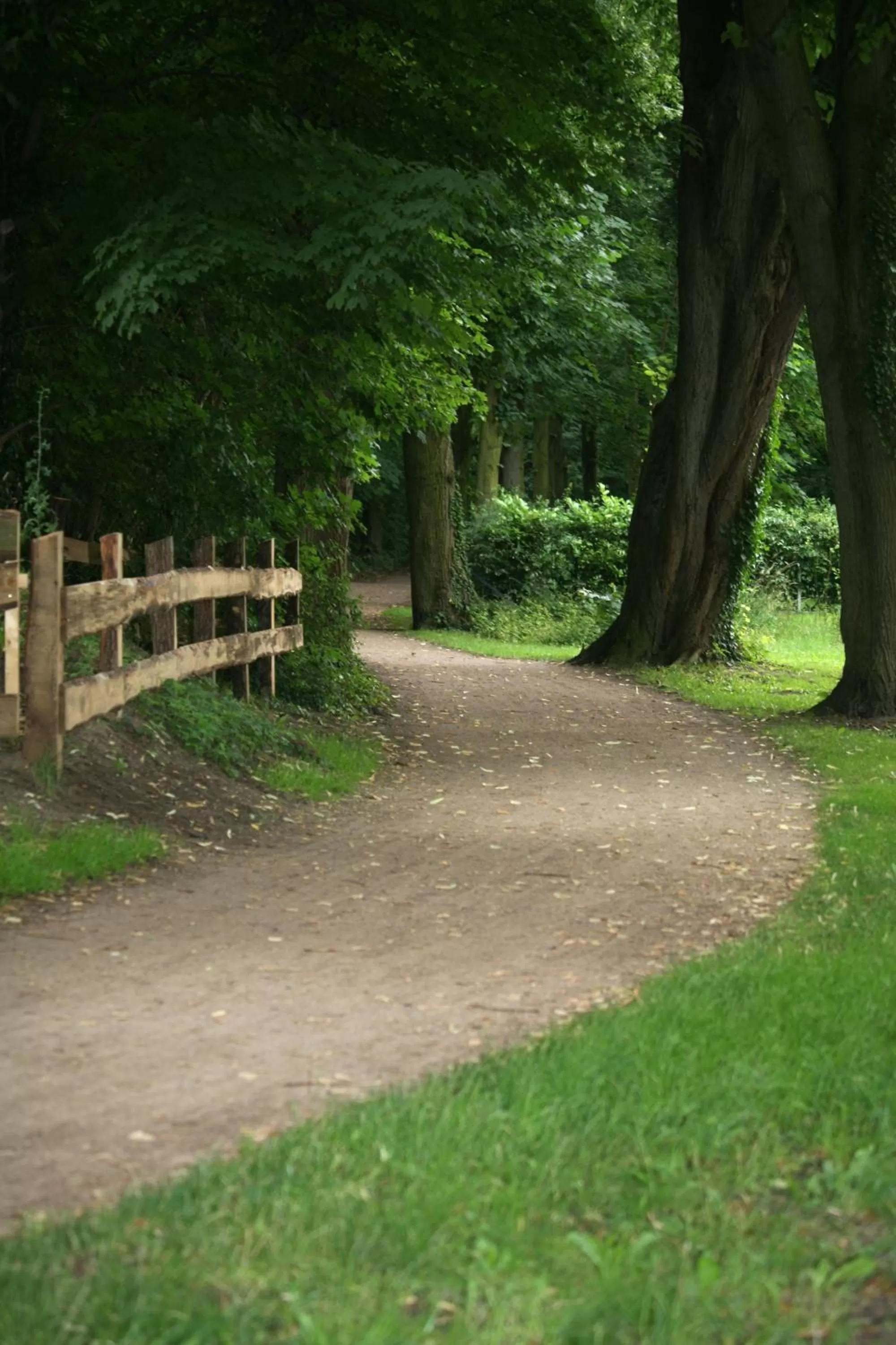 Natural landscape in Flair Hotel Deutsches Haus