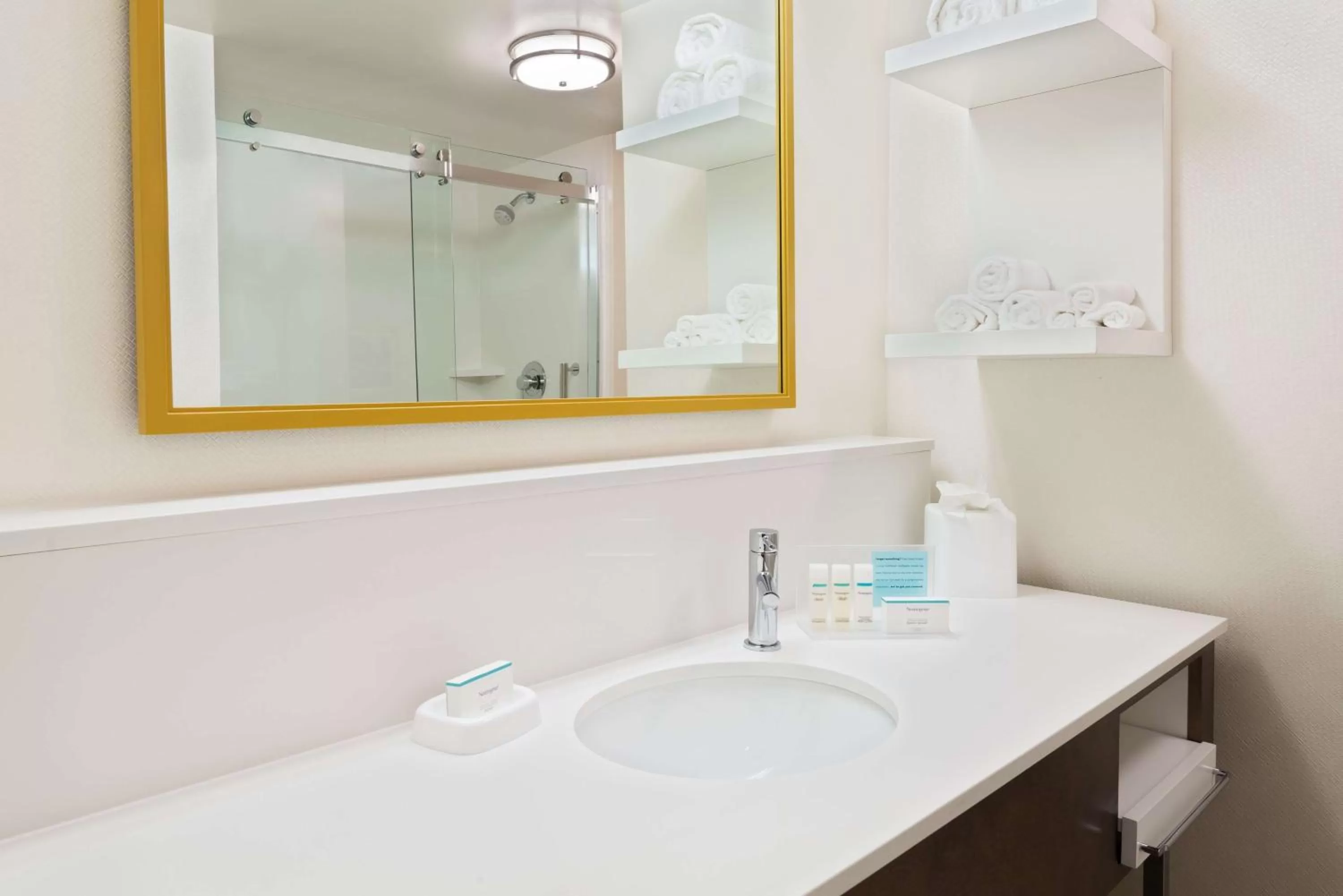 Bathroom in Hampton Inn & Suites Atlanta Buckhead Place