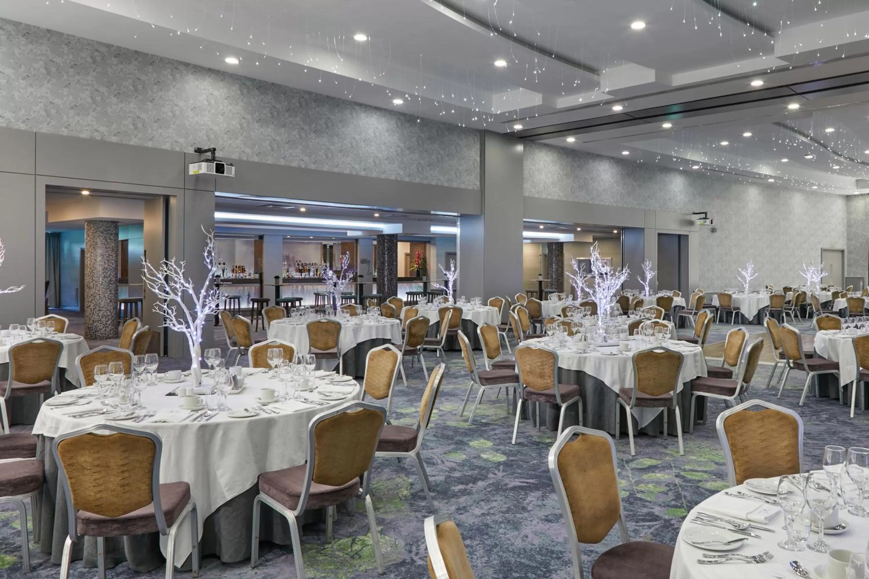 Banquet/Function facilities in Crowne Plaza Dublin Blanchardstown by IHG