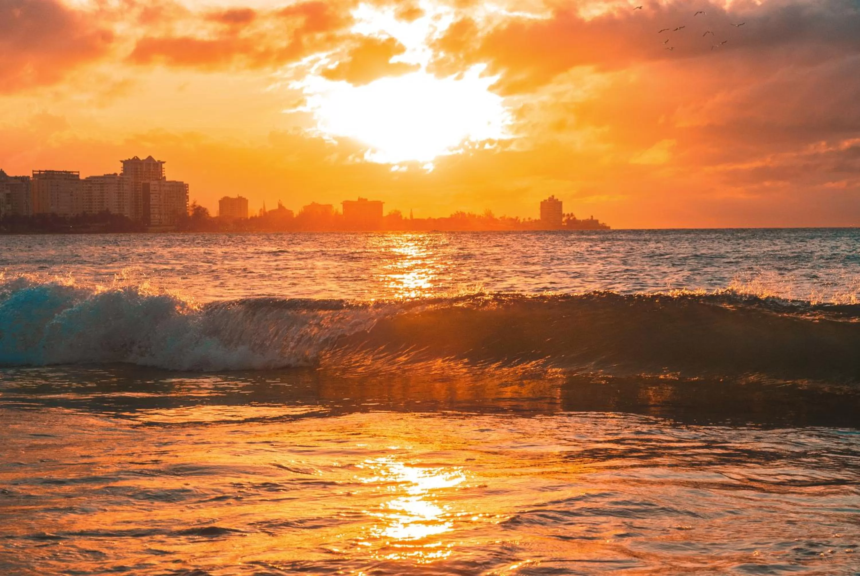 Natural landscape in ESJ Towers by Chana