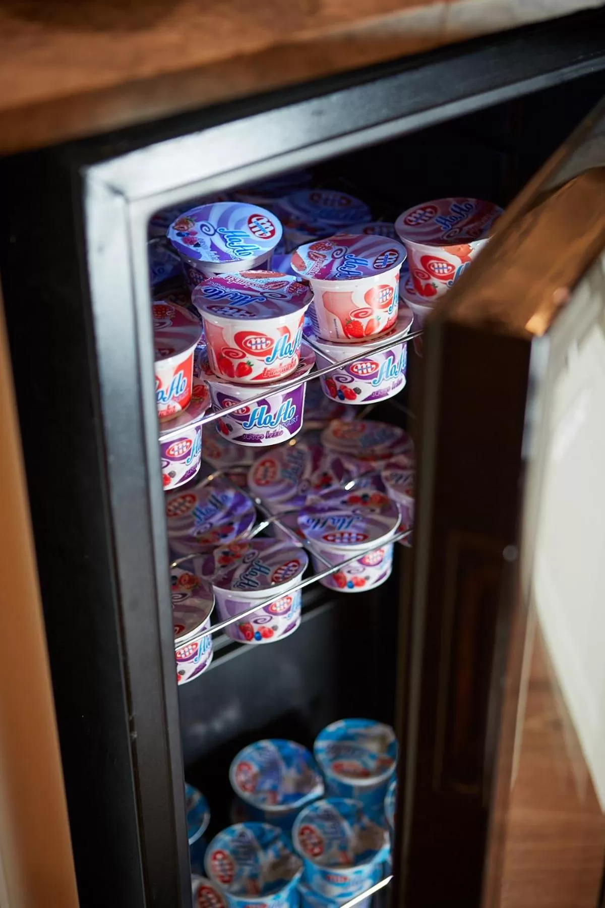 Staff in Hotel Batory