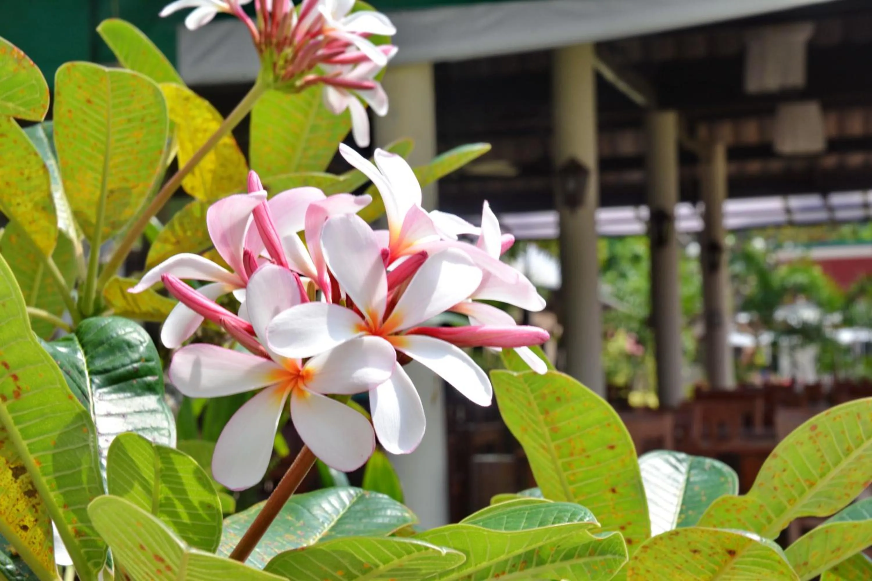 Other in Golden Bay Cottage - SHA Extra Plus