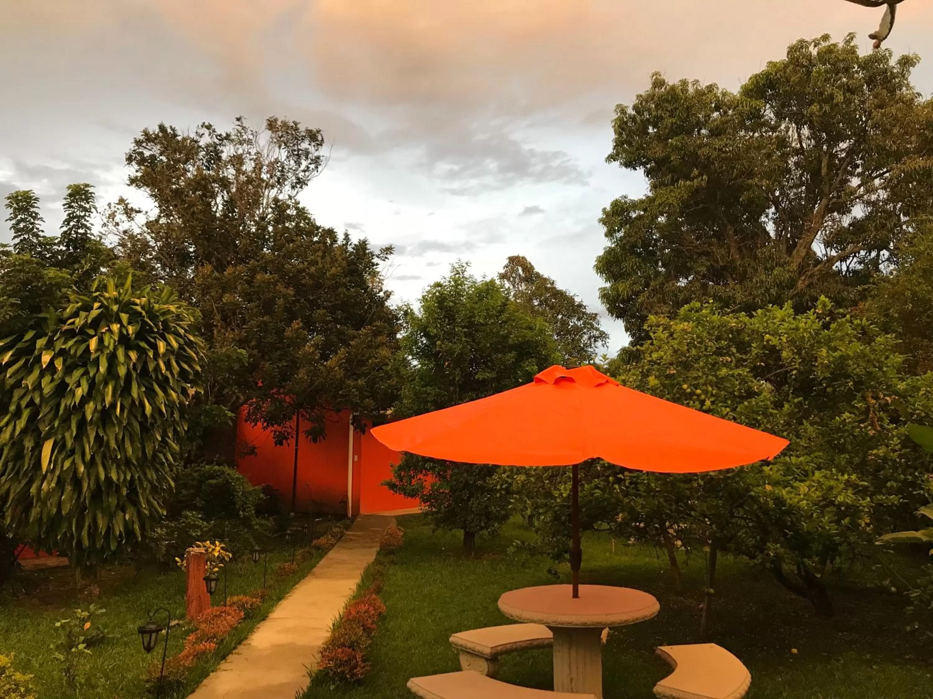 Garden in Hotel Your House