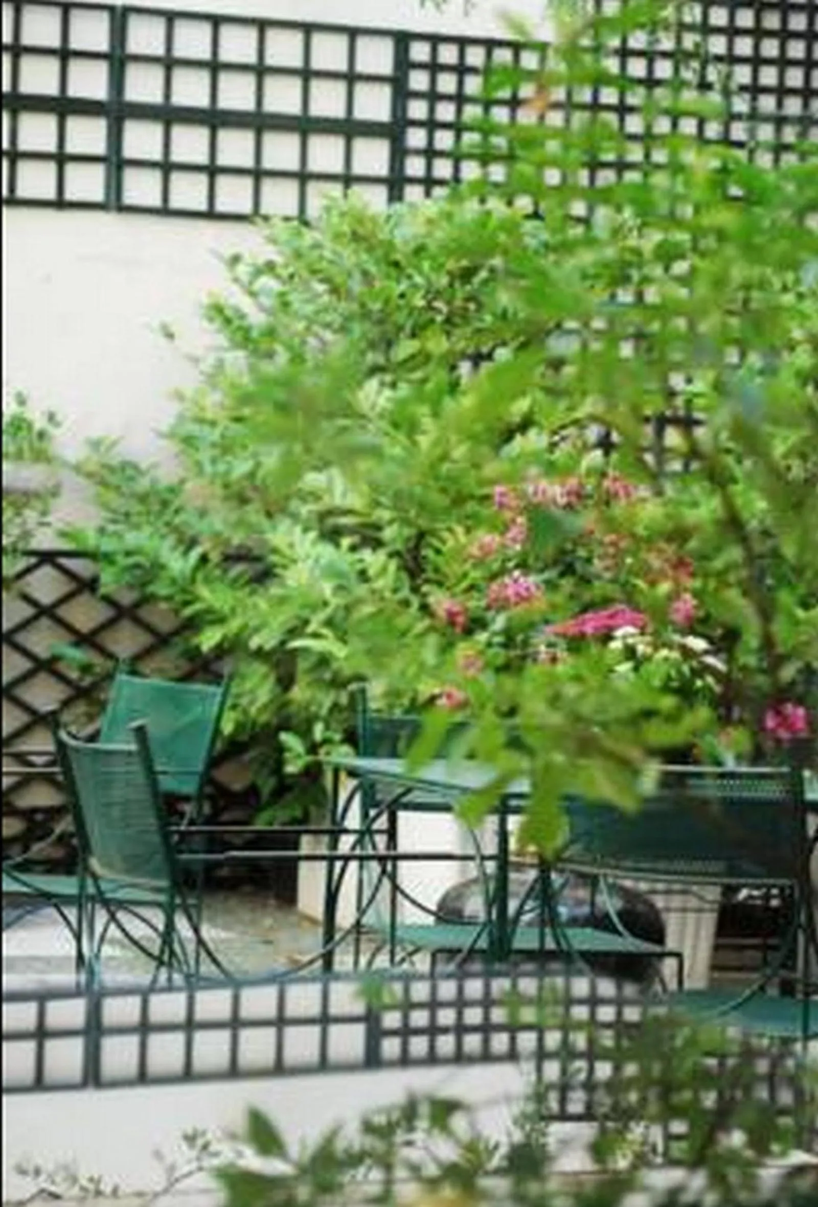 Balcony/Terrace in Hôtel France Eiffel