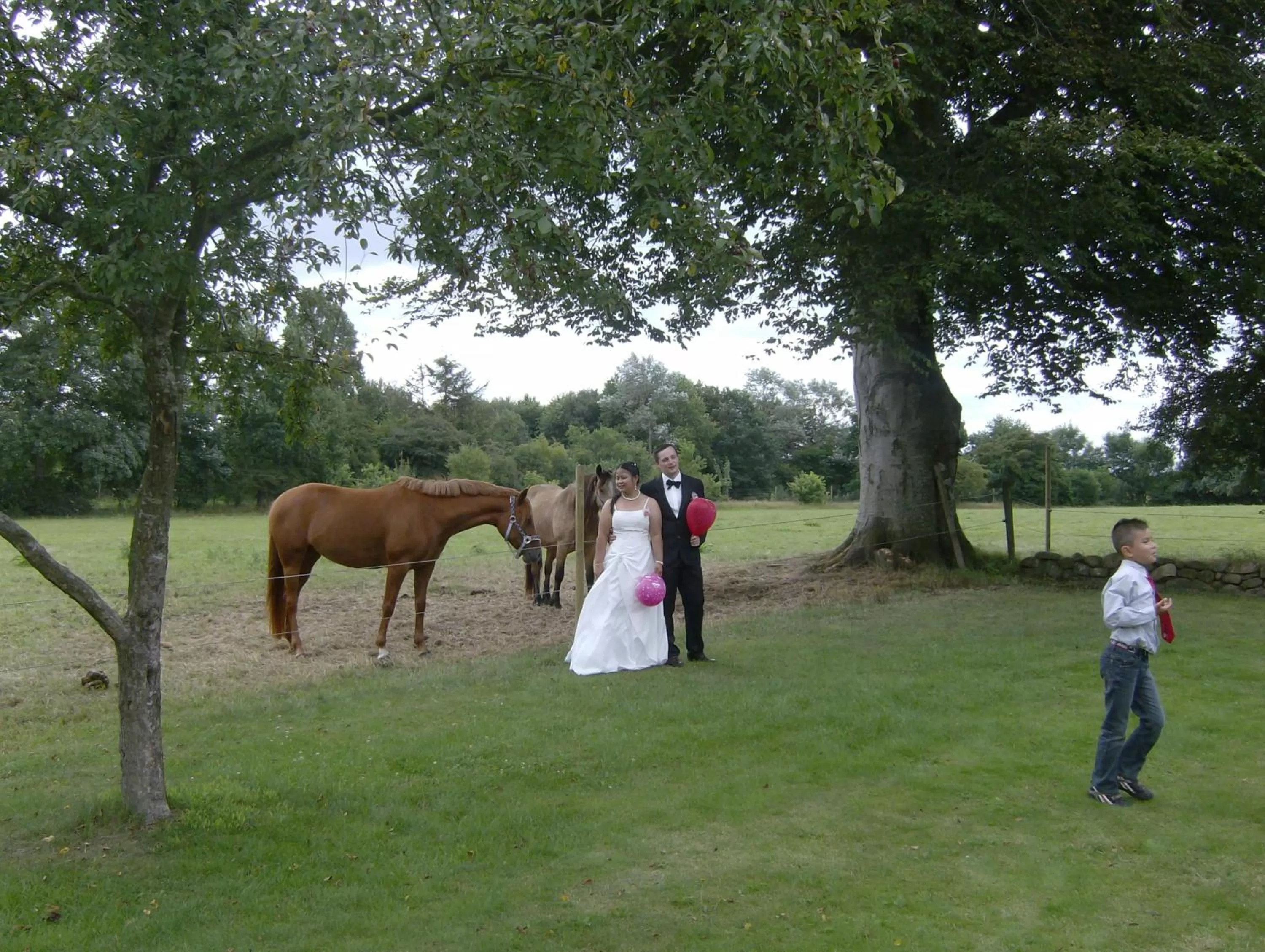 Garden in Hotel Frøslev Kro